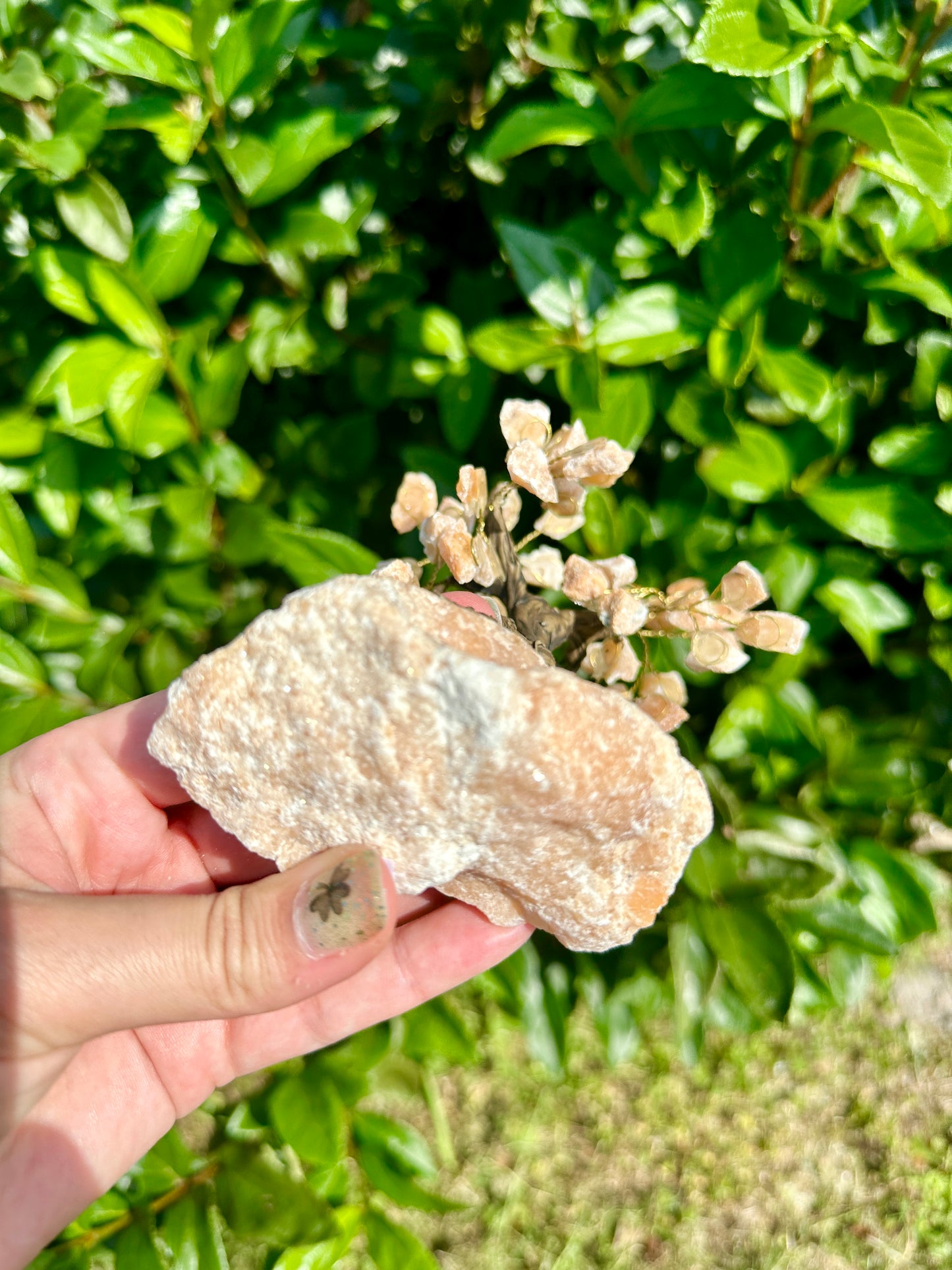 Orange Calcite Tree of Life - Energizing Crystal Decor for Harmony and Creativity in Your Living and Work Spaces