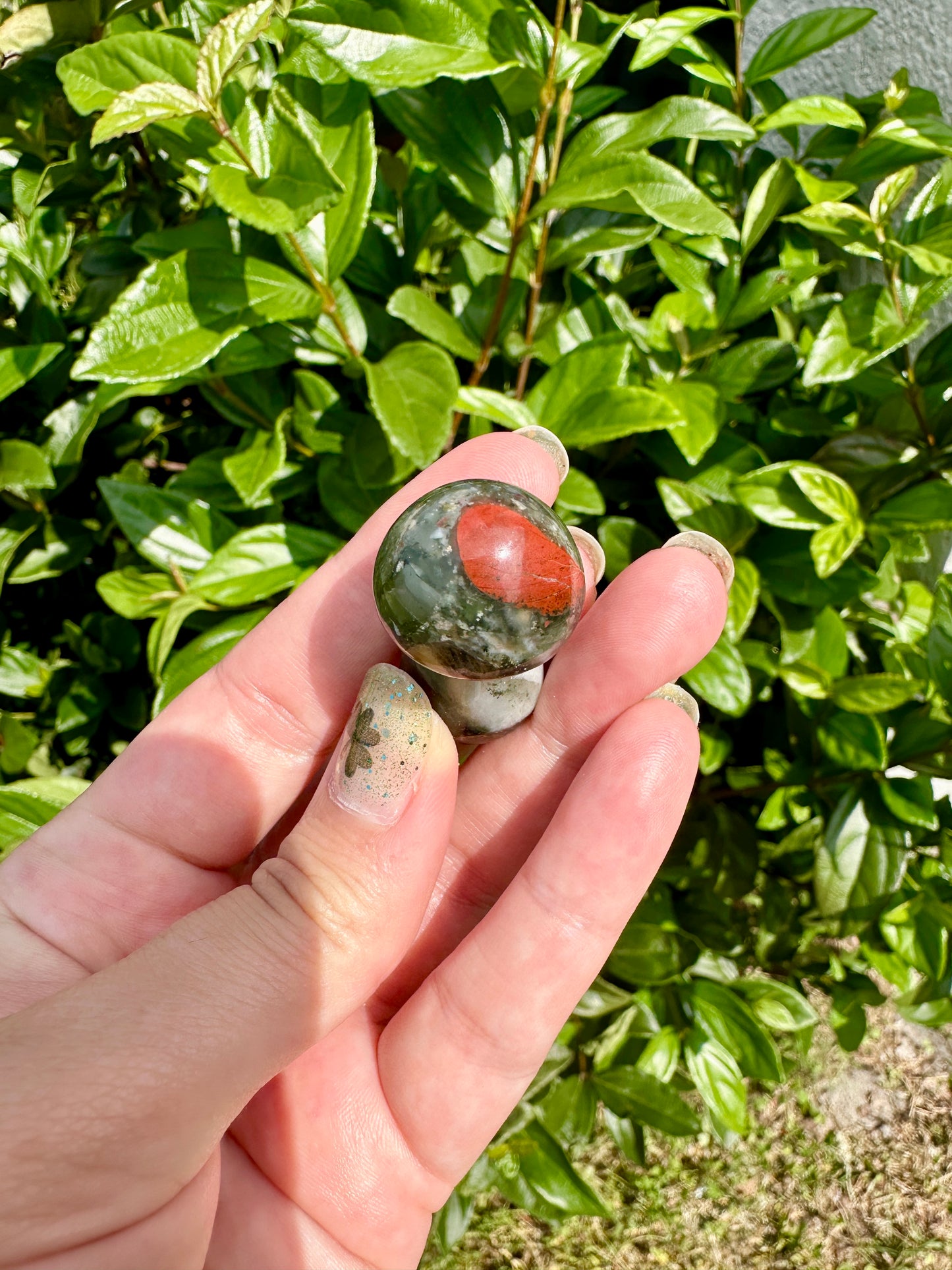 African Bloodstone Mushroom Carving - Infuse Your Space with Strength and Healing, Ideal for Decor and Spiritual Work