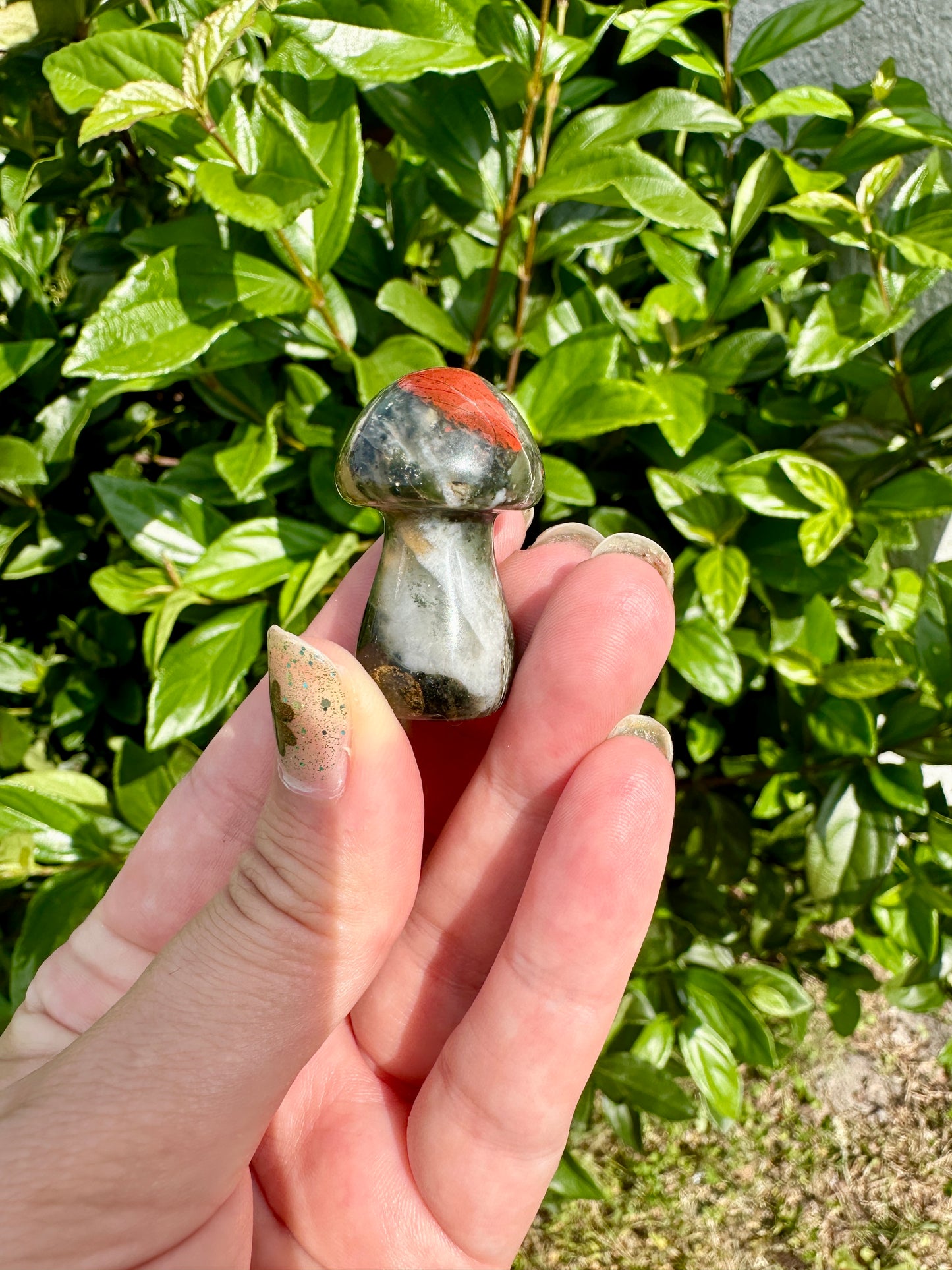 African Bloodstone Mushroom Carving - Infuse Your Space with Strength and Healing, Ideal for Decor and Spiritual Work