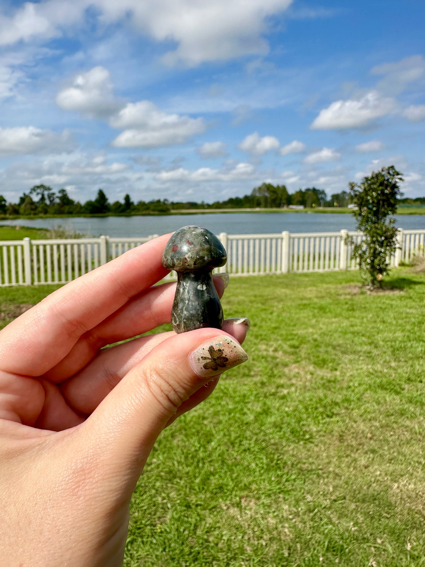 African Bloodstone Mushroom Carving - Infuse Your Space with Strength and Healing, Ideal for Decor and Spiritual Work
