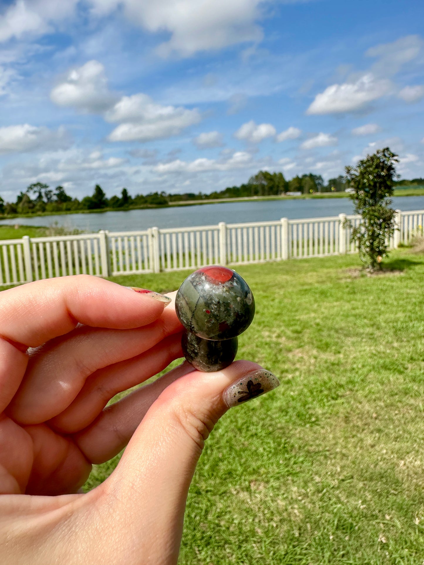 African Bloodstone Mushroom Carving - Infuse Your Space with Strength and Healing, Ideal for Decor and Spiritual Work