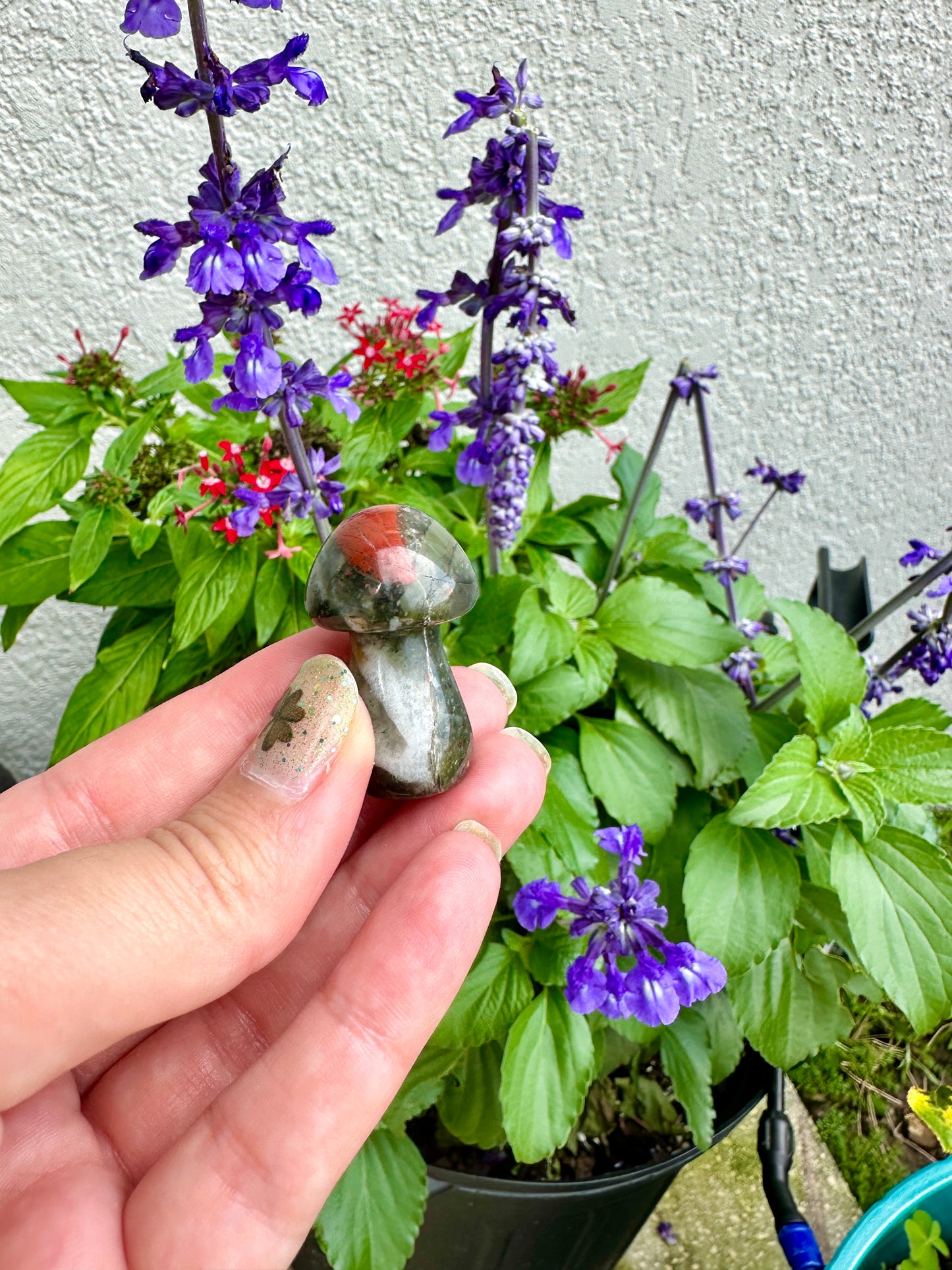 African Bloodstone Mushroom Carving - Infuse Your Space with Strength and Healing, Ideal for Decor and Spiritual Work
