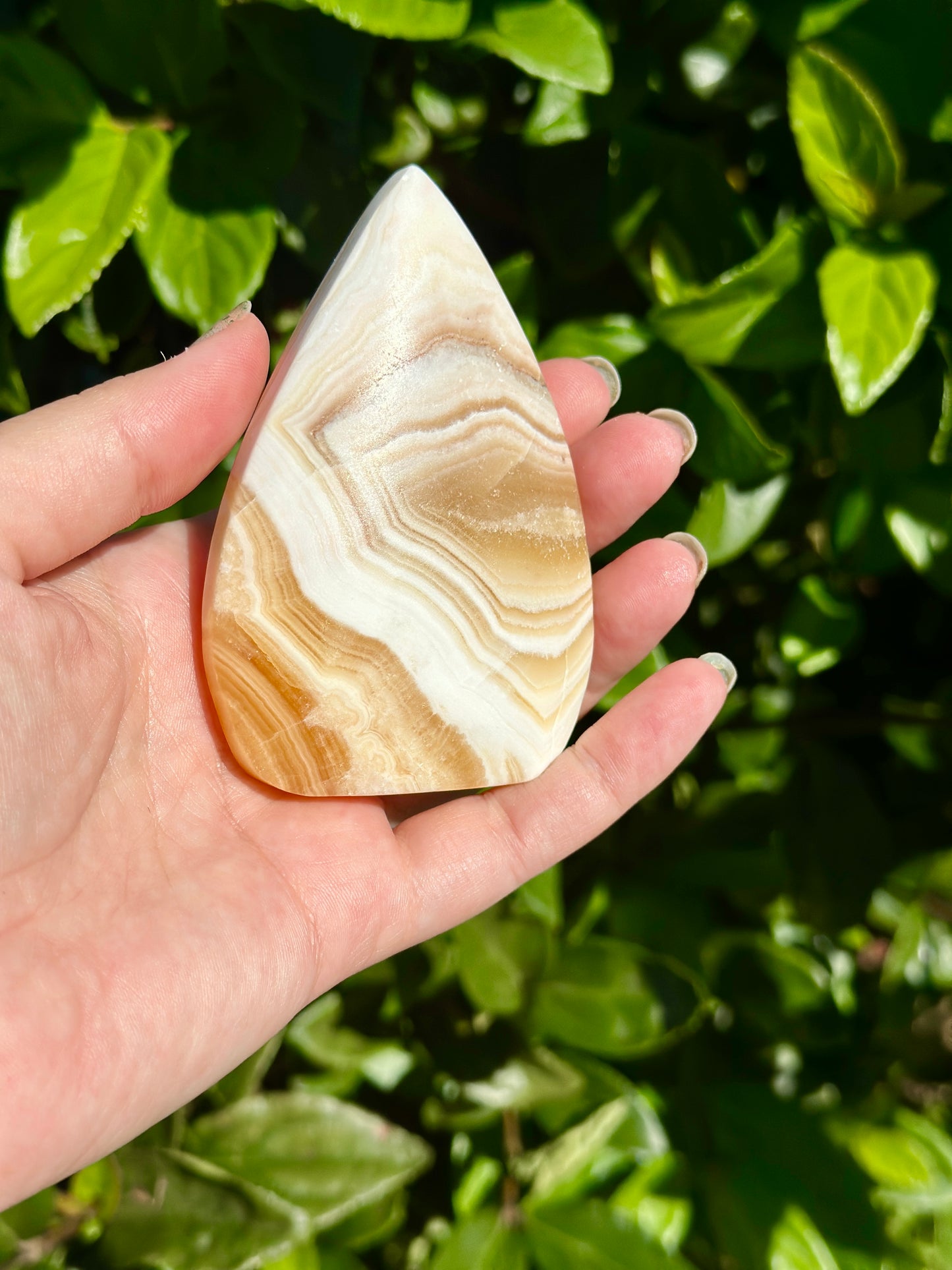 Yellow Calcite Freeform - Brighten Your Space with Healing Energy, Ideal for Positivity and Mental Clarity