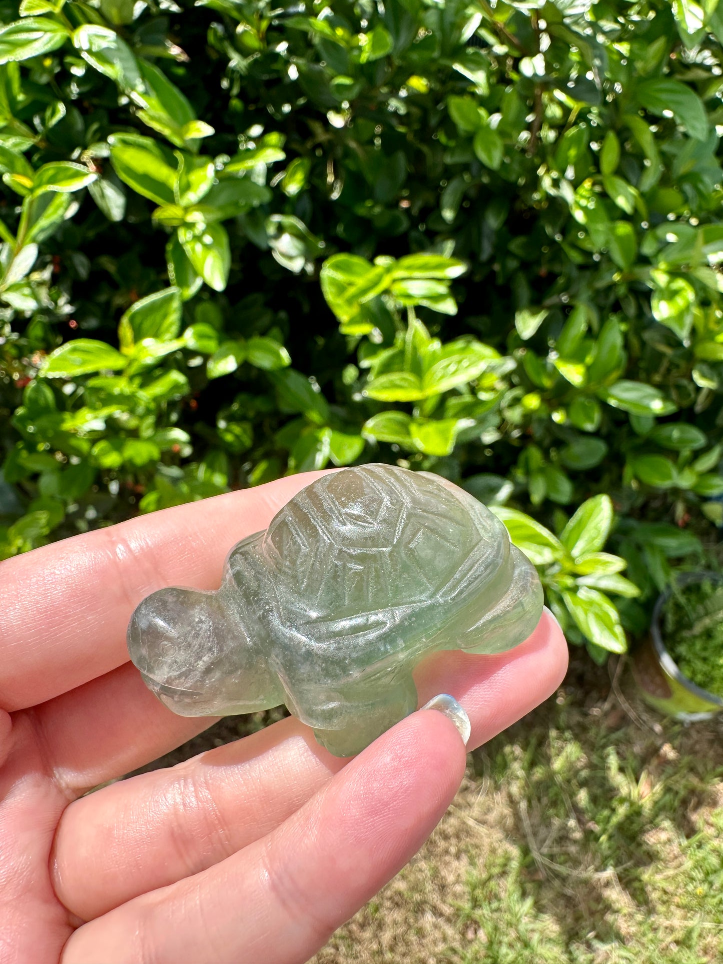Fluorite Turtle Carving - Handcrafted Gemstone Sculpture for Healing & Protection, Unique Crystal Turtle Decor, Serene Energy Companion