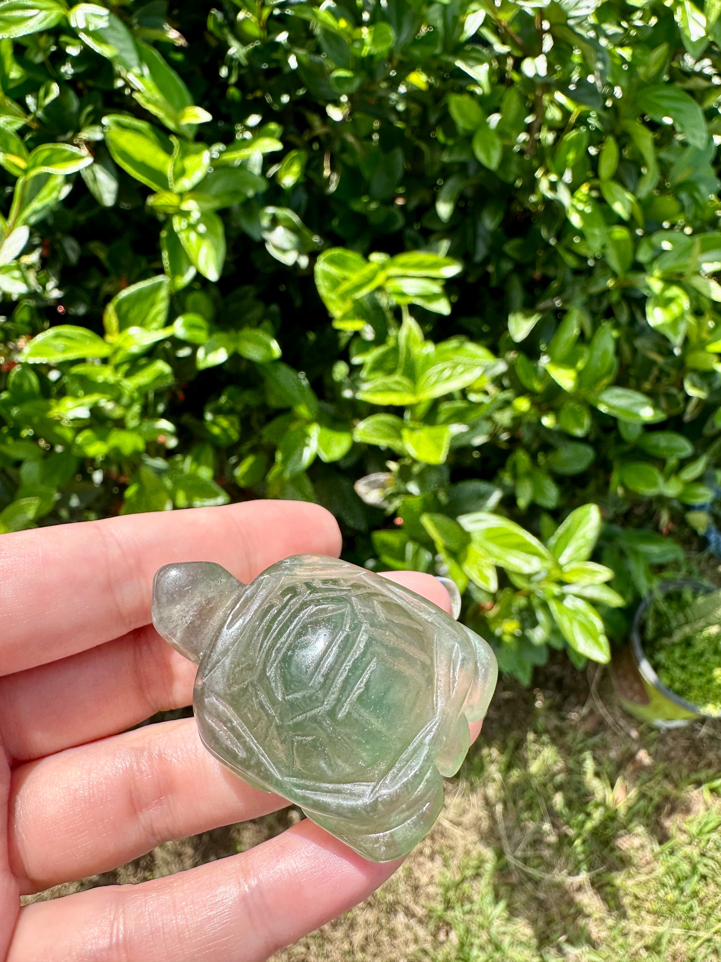 Fluorite Turtle Carving - Handcrafted Gemstone Sculpture for Healing & Protection, Unique Crystal Turtle Decor, Serene Energy Companion