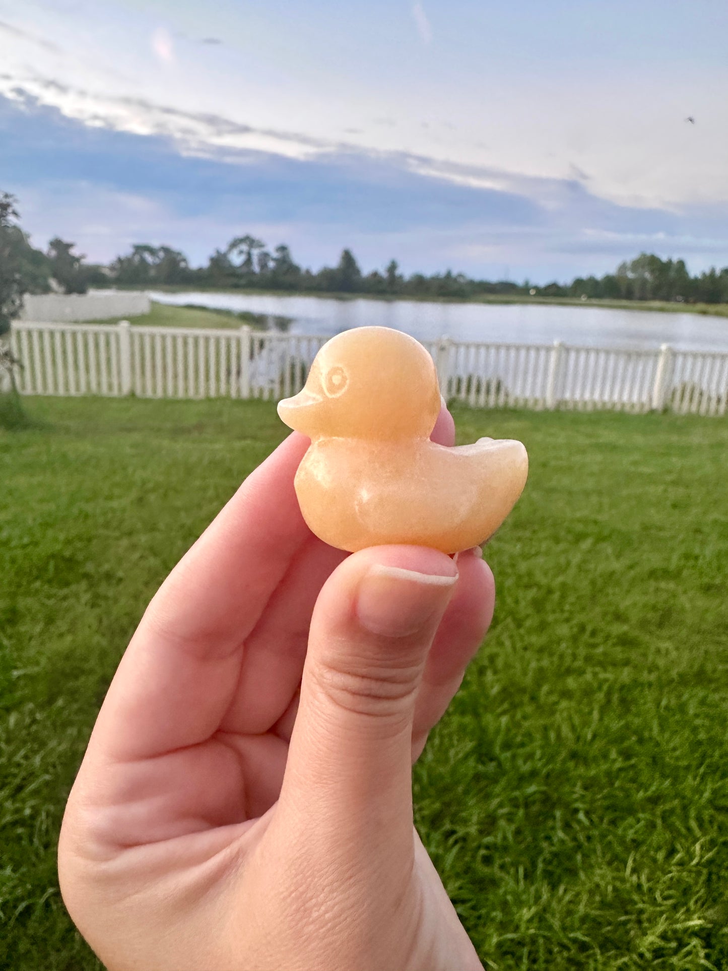 Yellow Calcite Duck Figurine, Healing Crystal Animal Sculpture, Unique Yellow Calcite Decor, Spiritual Gift for Crystal Lovers, Duck Statue
