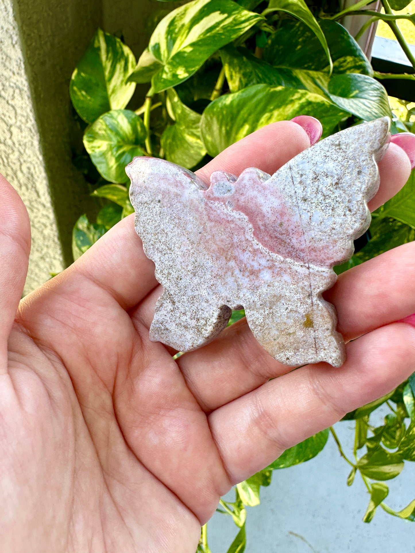 Ocean Jasper - Butterfly