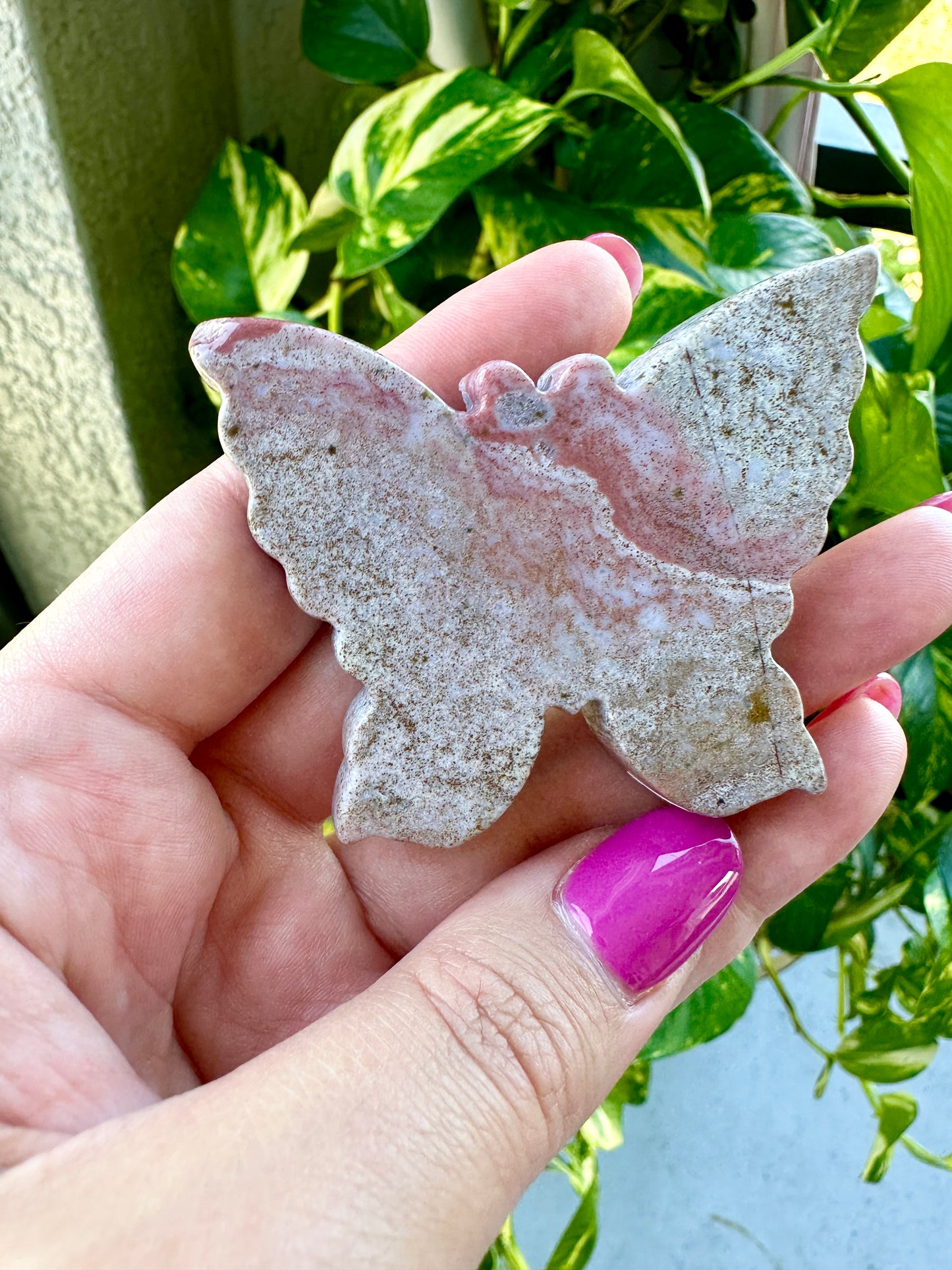 Ocean Jasper - Butterfly