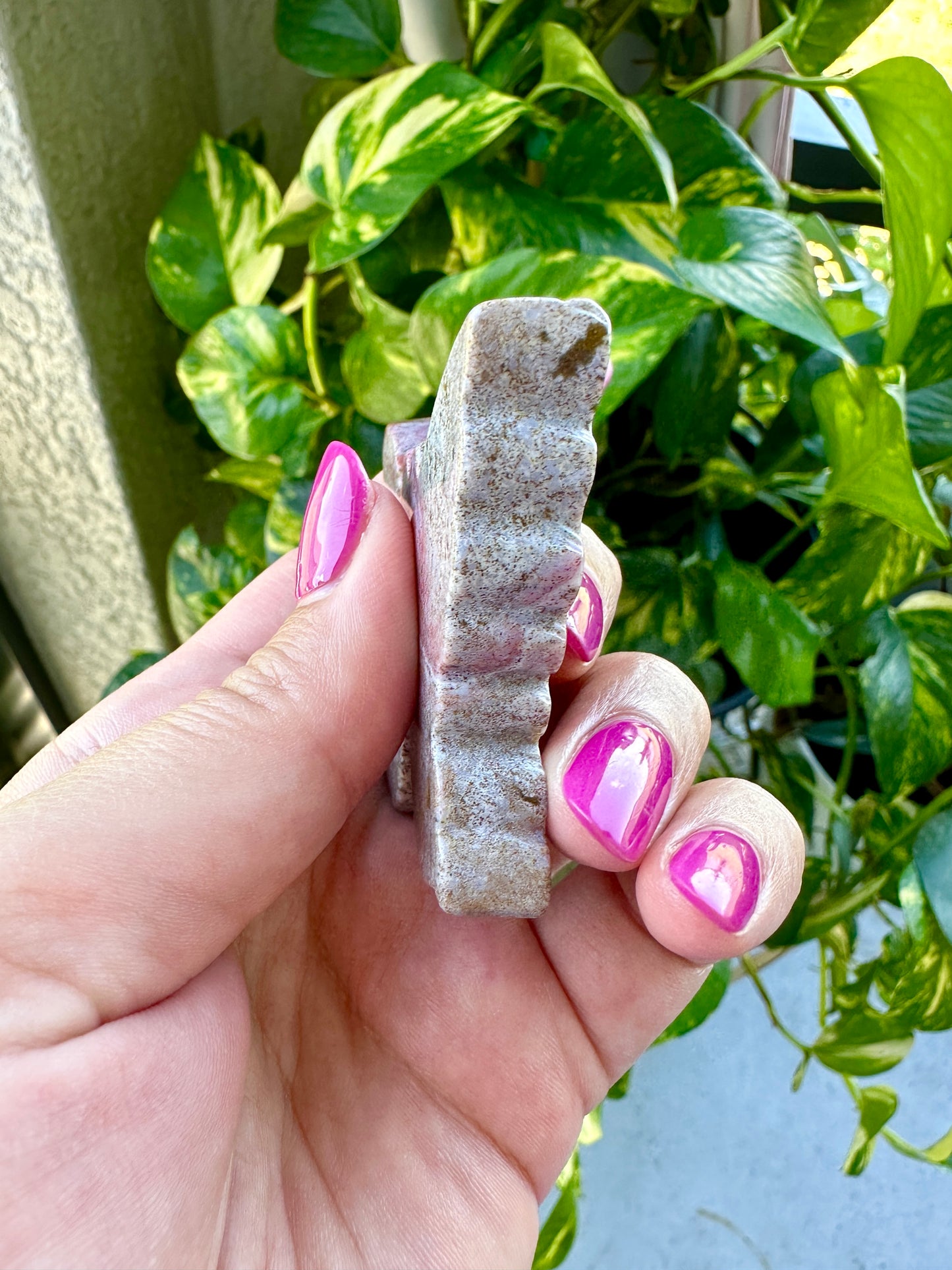 Ocean Jasper - Butterfly