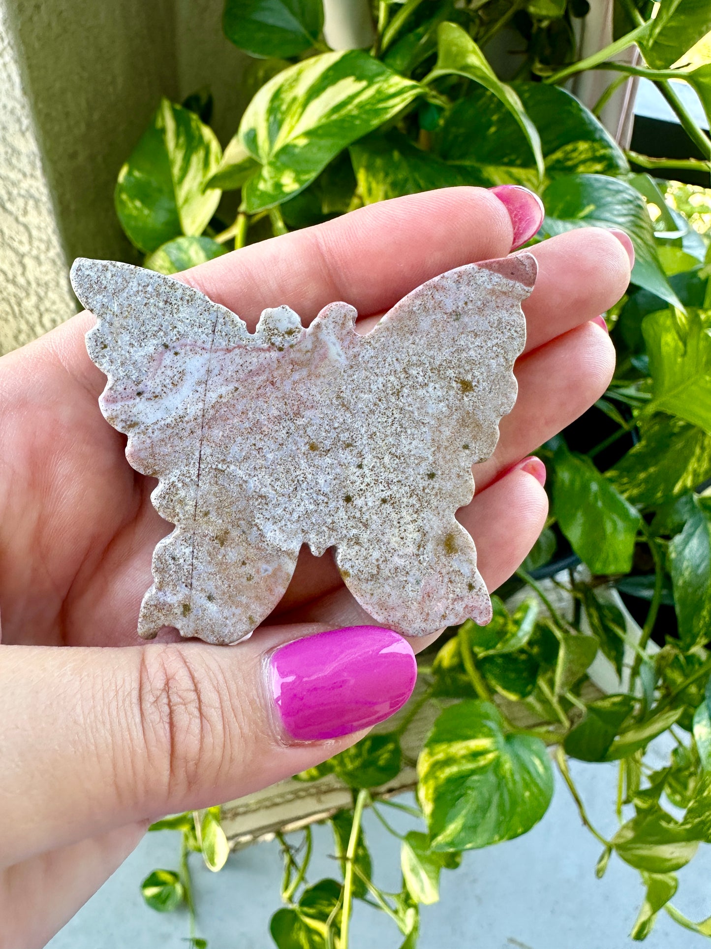 Ocean Jasper - Butterfly