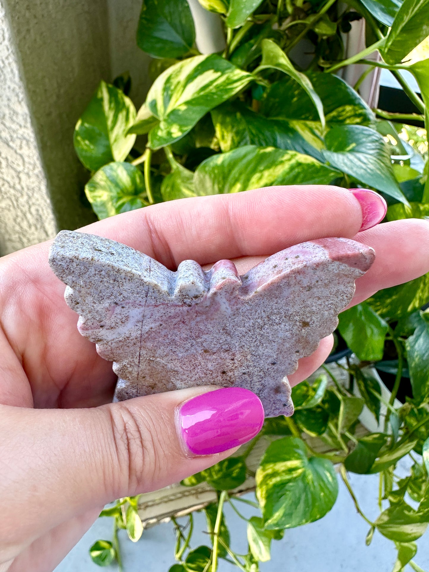 Ocean Jasper - Butterfly