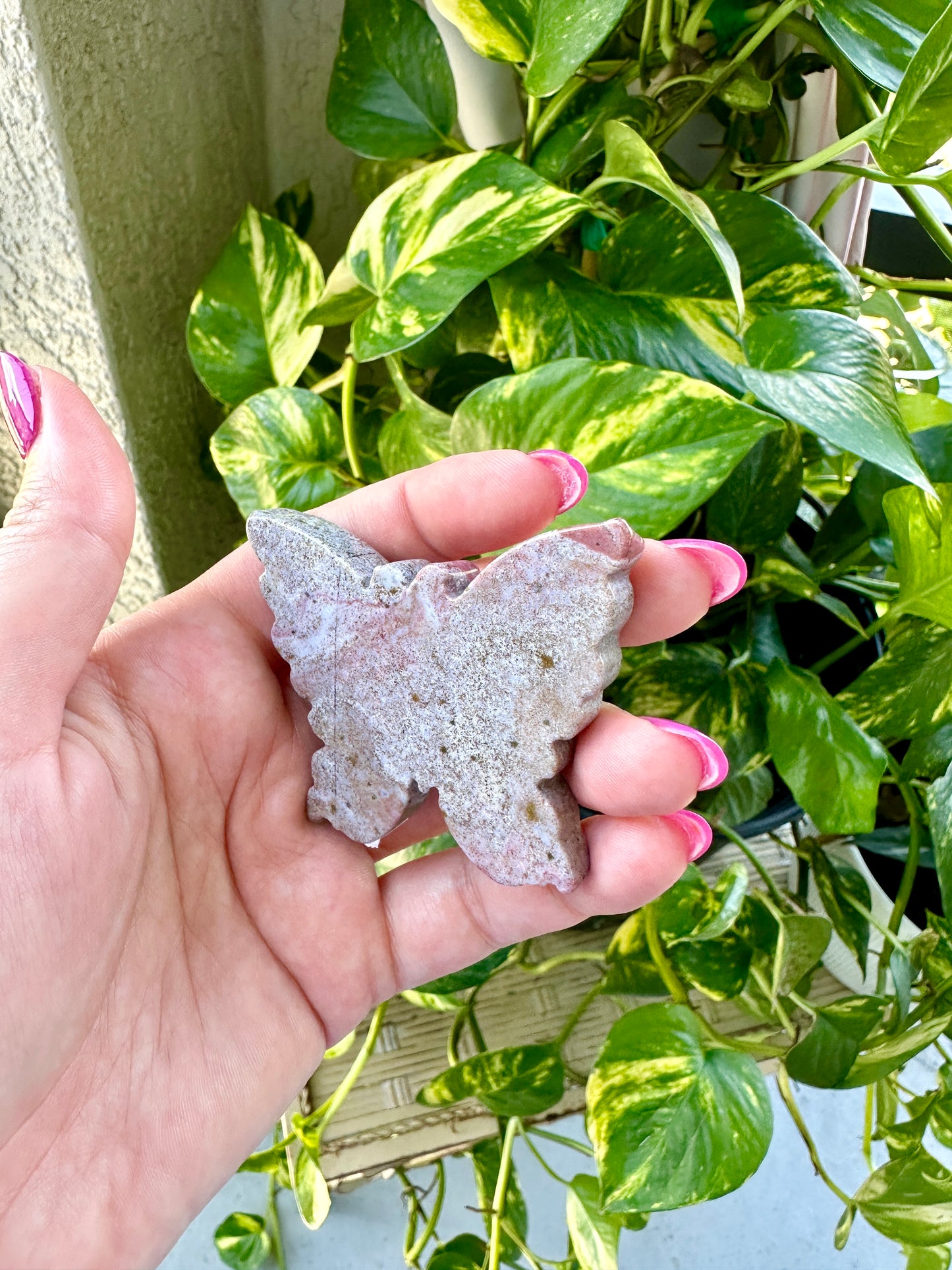 Ocean Jasper - Butterfly
