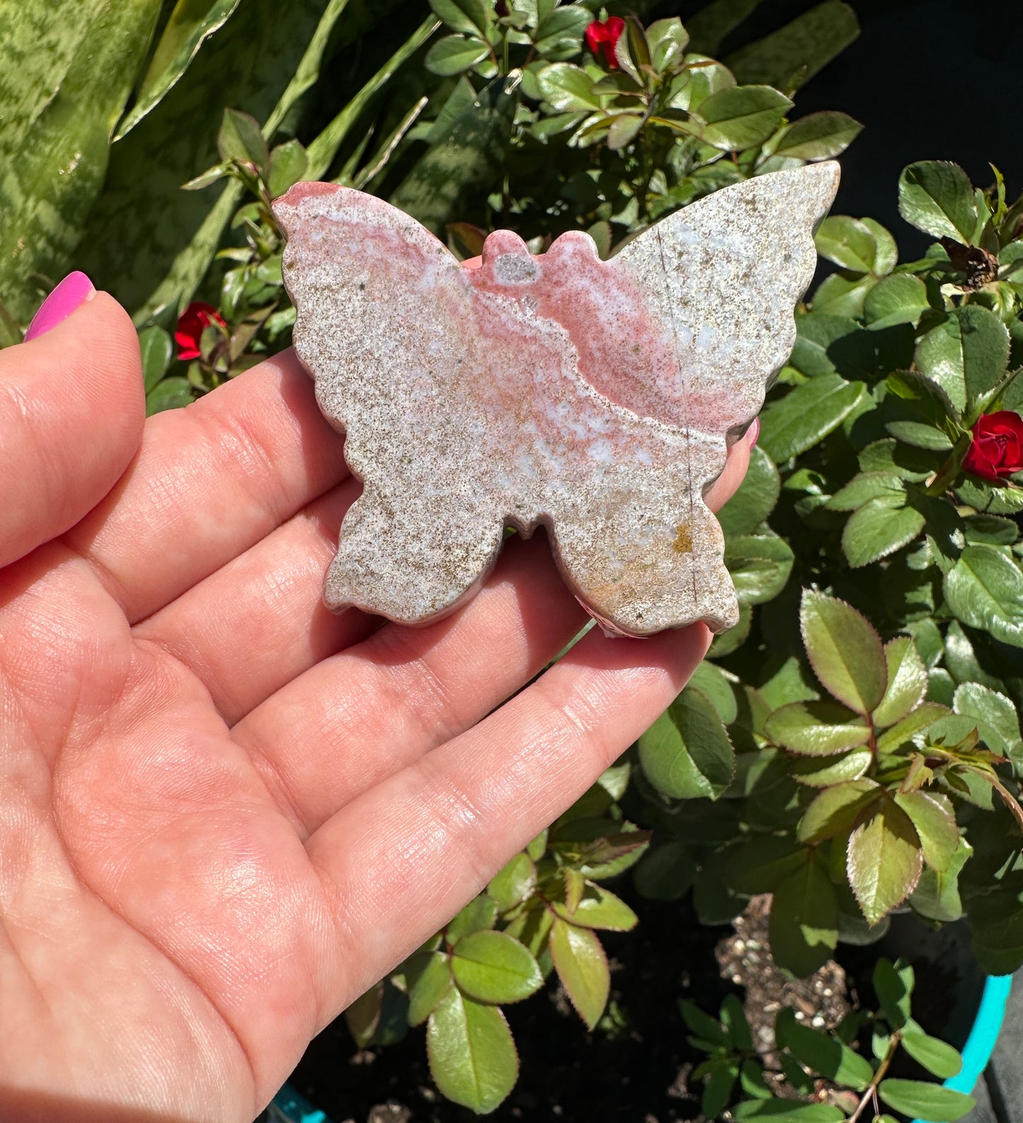 Ocean Jasper - Butterfly