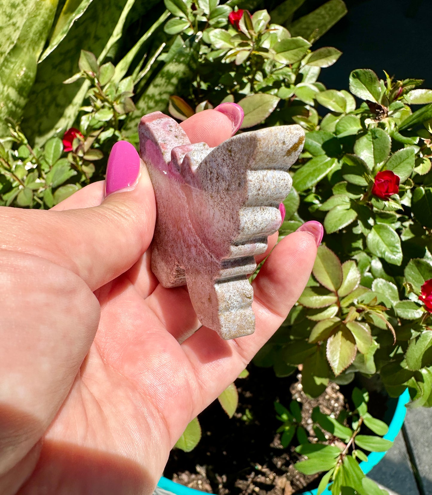 Ocean Jasper - Butterfly