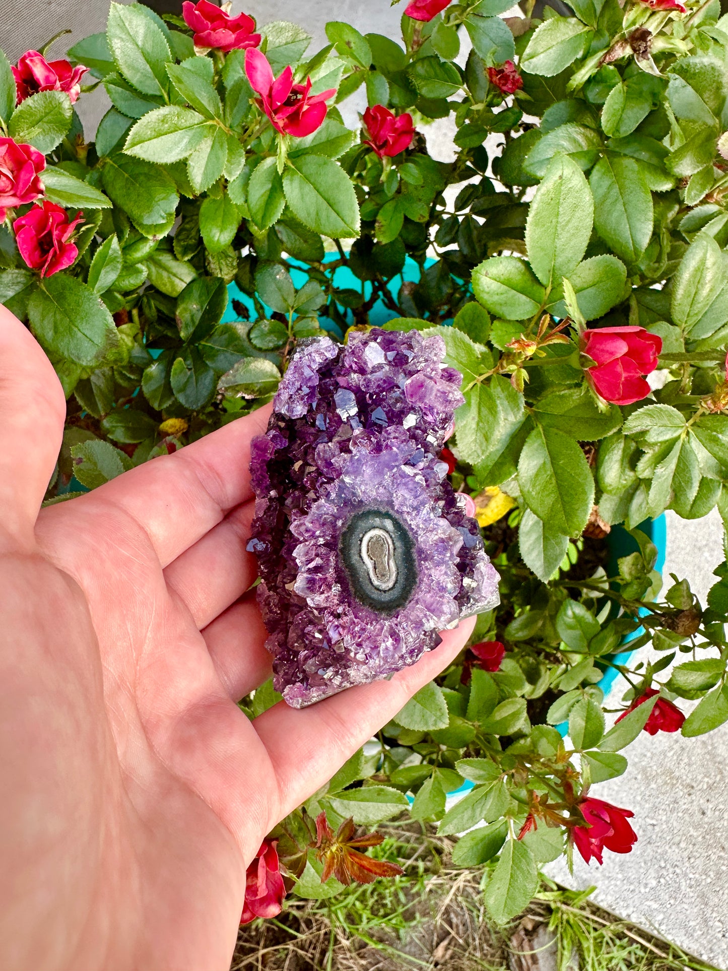 Amethyst - Stalactite - From Uruguay