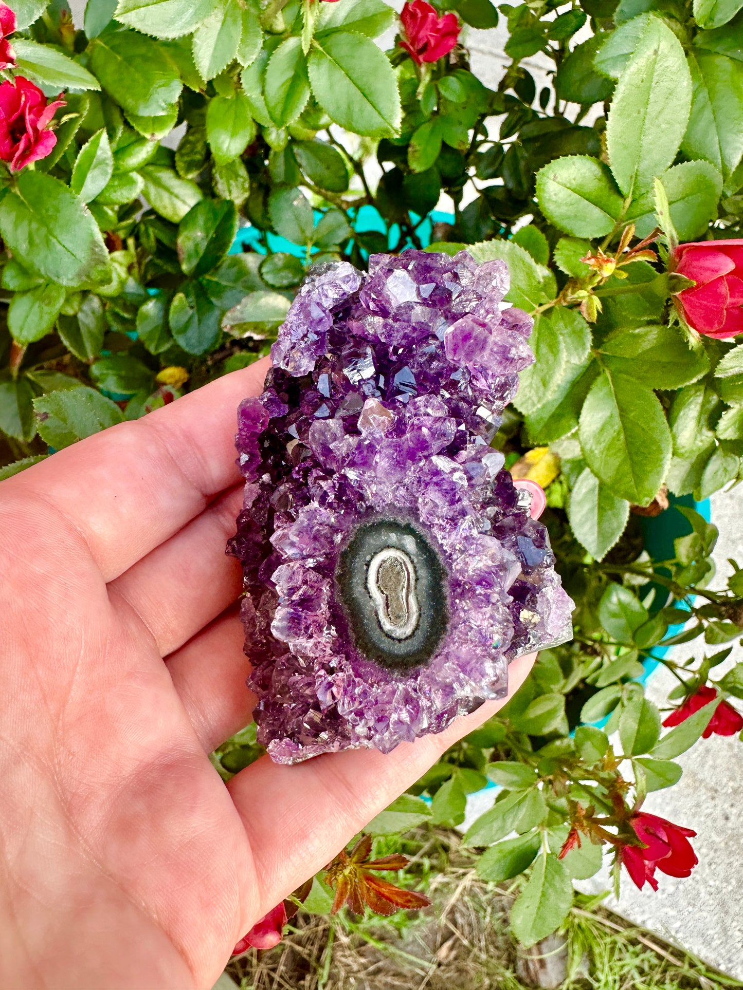 Amethyst - Stalactite - From Uruguay