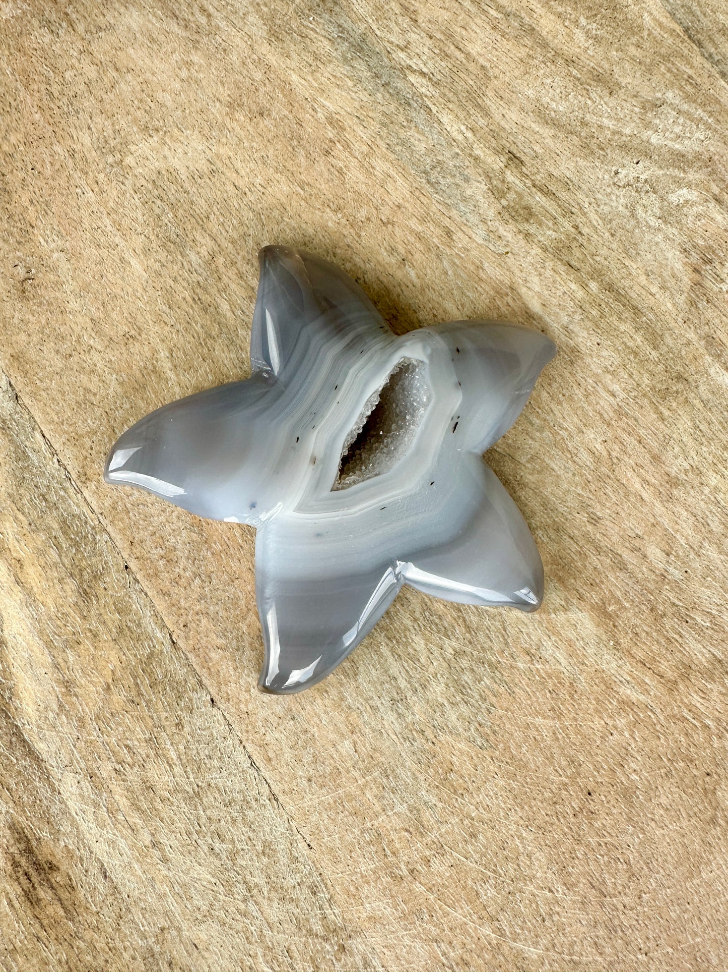 Sparkling Druzy Agate Starfish - Druzy Agate - Star Fish