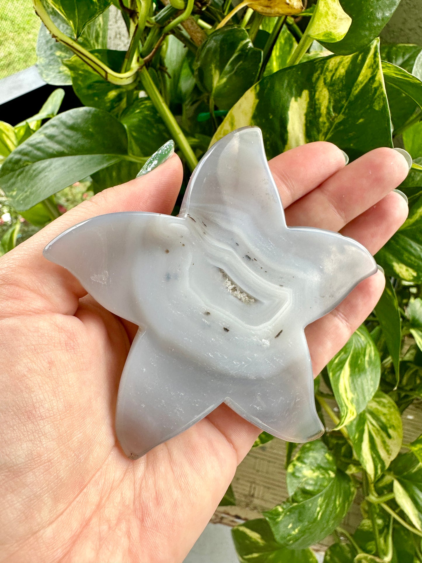 Sparkling Druzy Agate Starfish - Druzy Agate - Star Fish