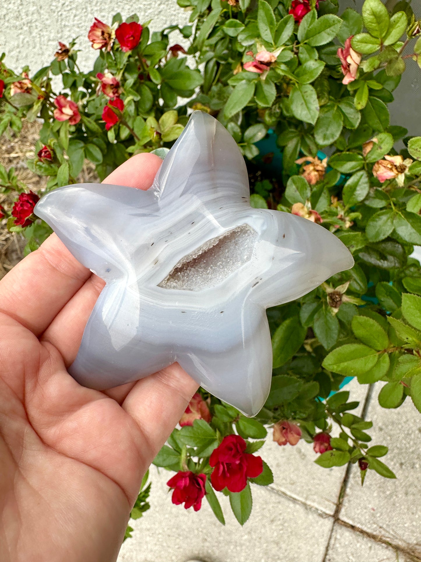 Sparkling Druzy Agate Starfish - Druzy Agate - Star Fish