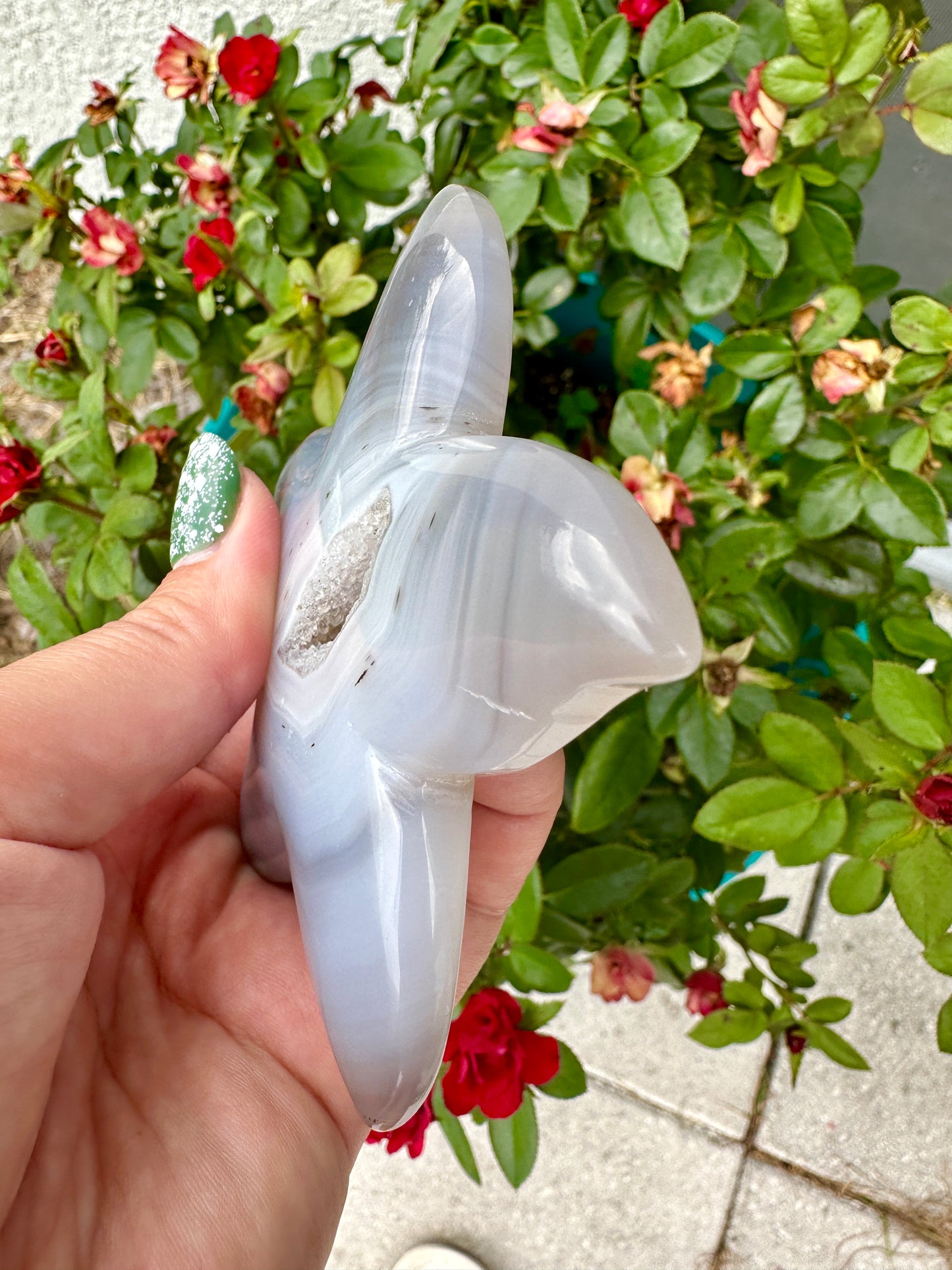 Sparkling Druzy Agate Starfish - Druzy Agate - Star Fish
