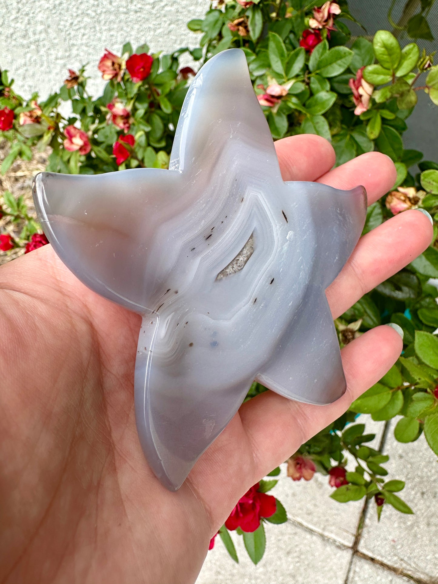 Sparkling Druzy Agate Starfish - Druzy Agate - Star Fish