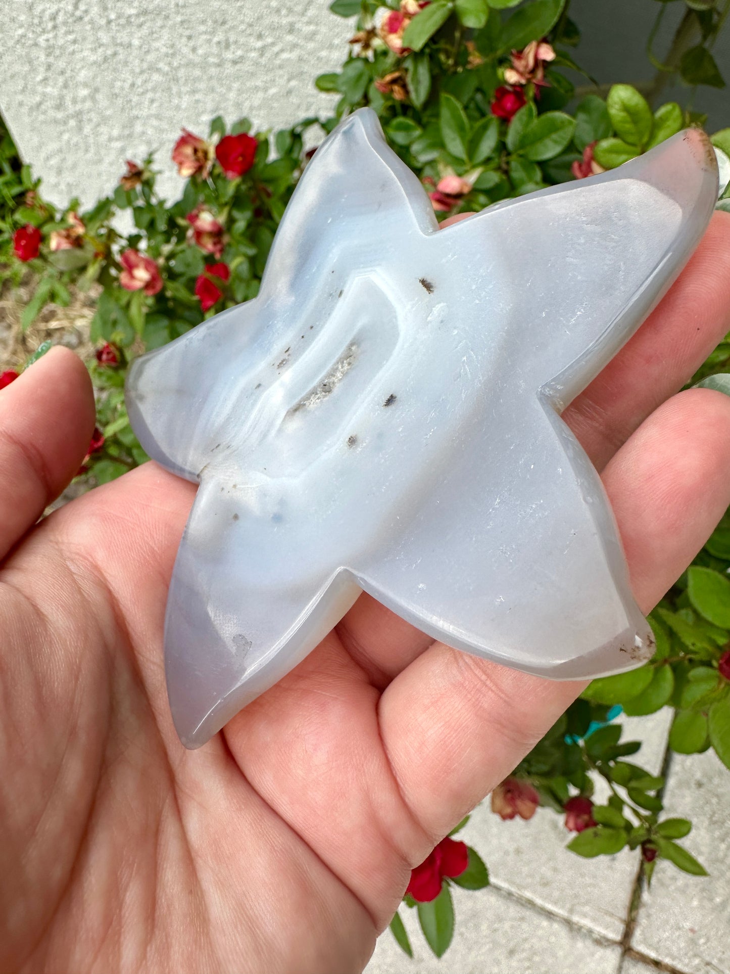 Sparkling Druzy Agate Starfish - Druzy Agate - Star Fish