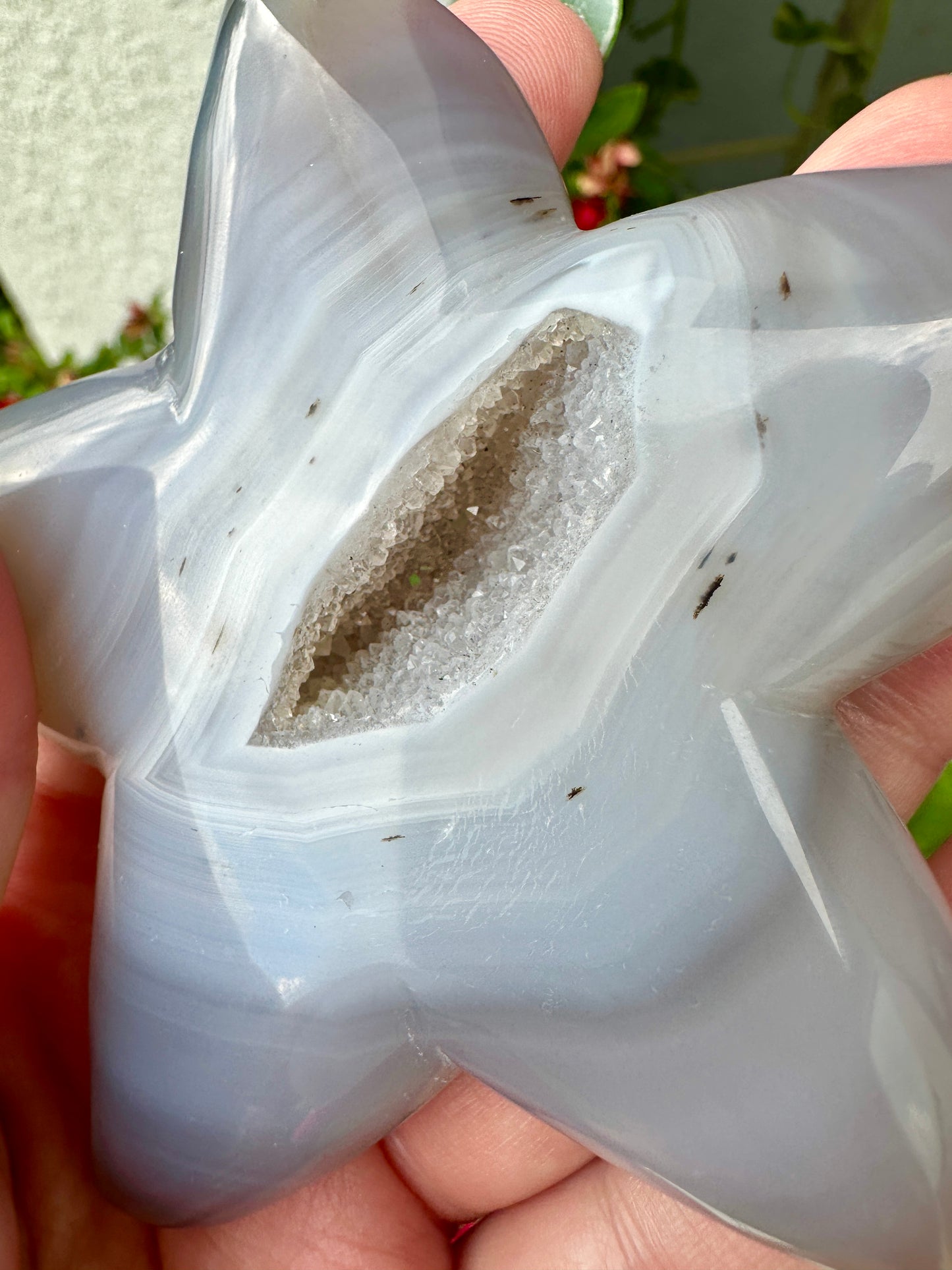 Sparkling Druzy Agate Starfish - Druzy Agate - Star Fish