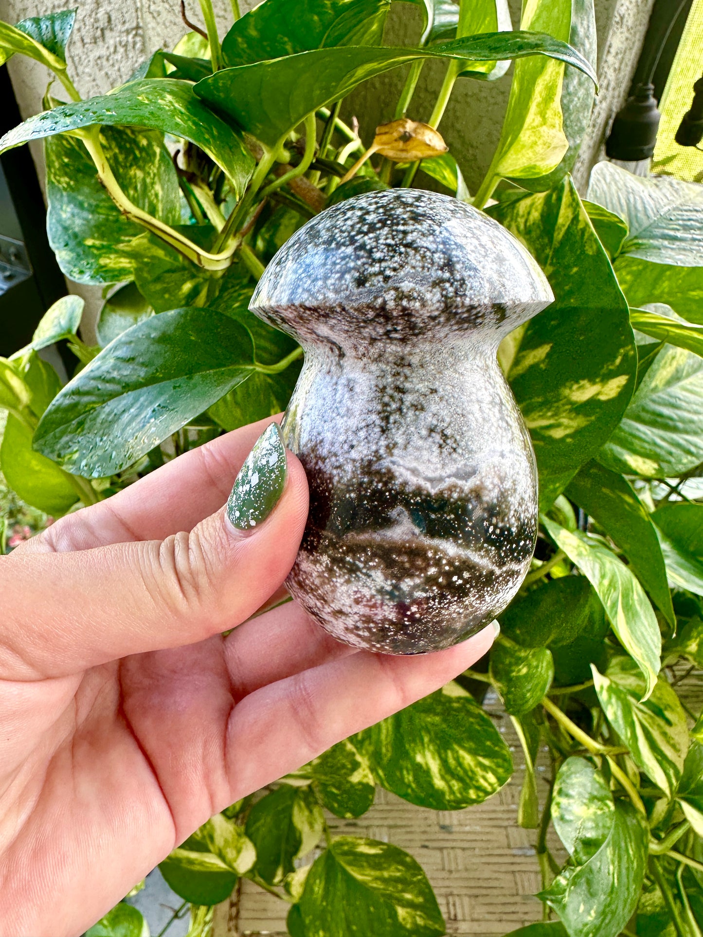 Ocean Jasper - Mushroom
