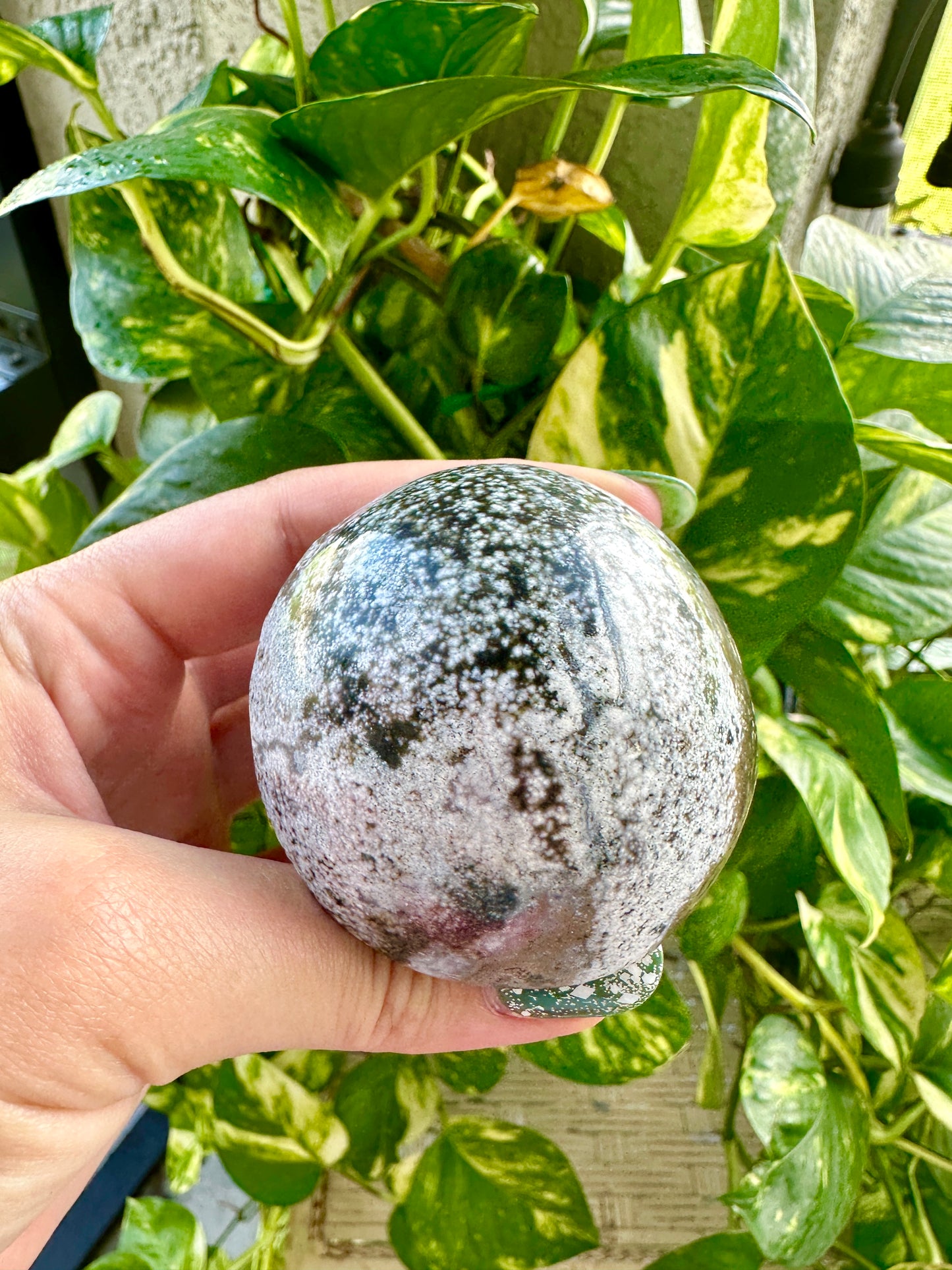 Ocean Jasper - Mushroom