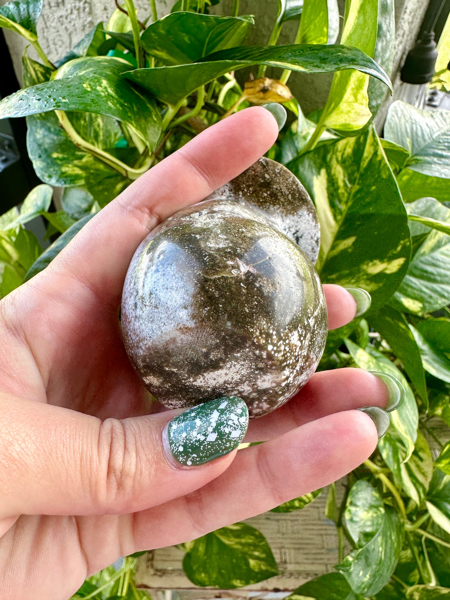 Ocean Jasper - Mushroom
