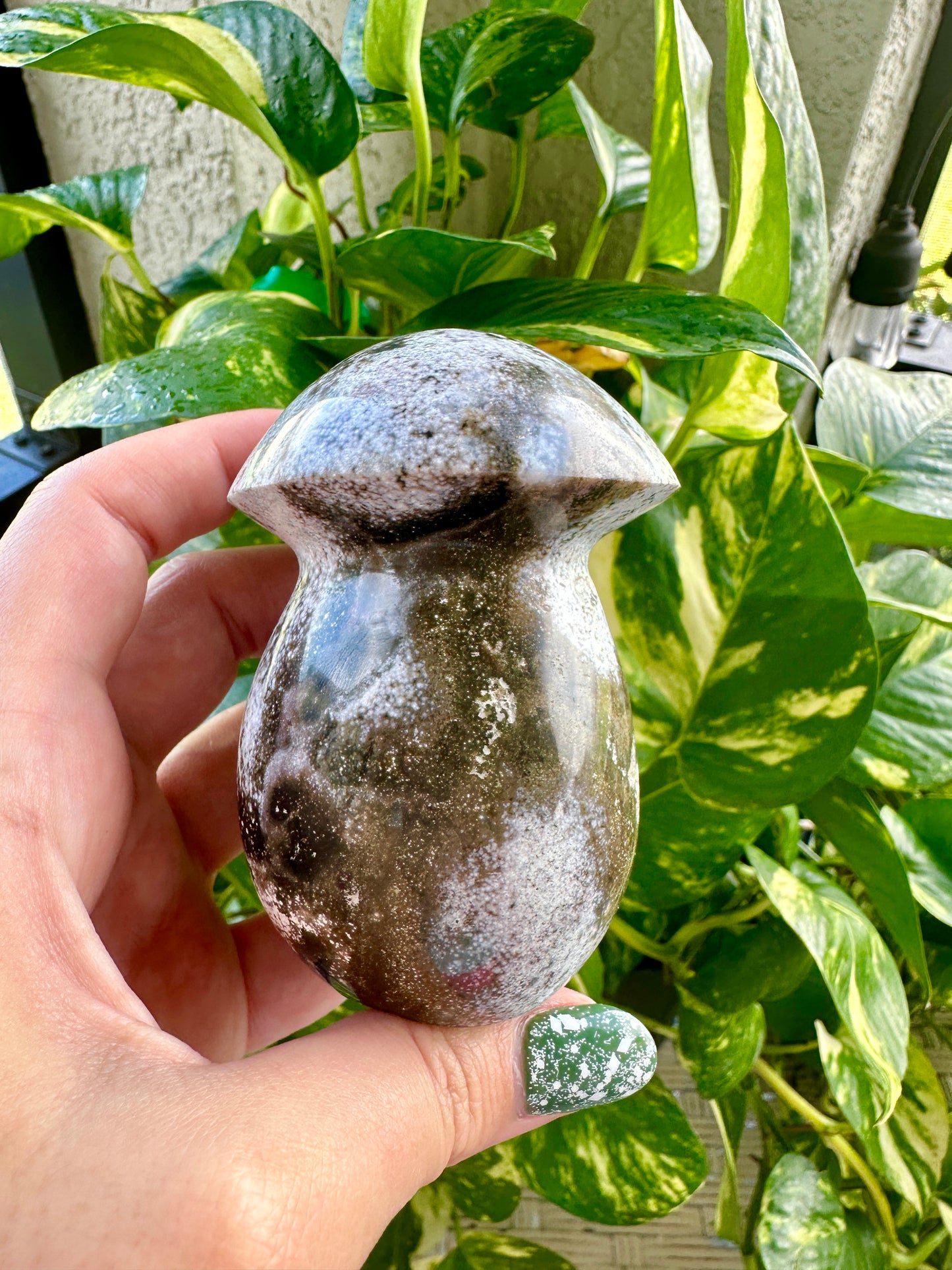 Ocean Jasper - Mushroom