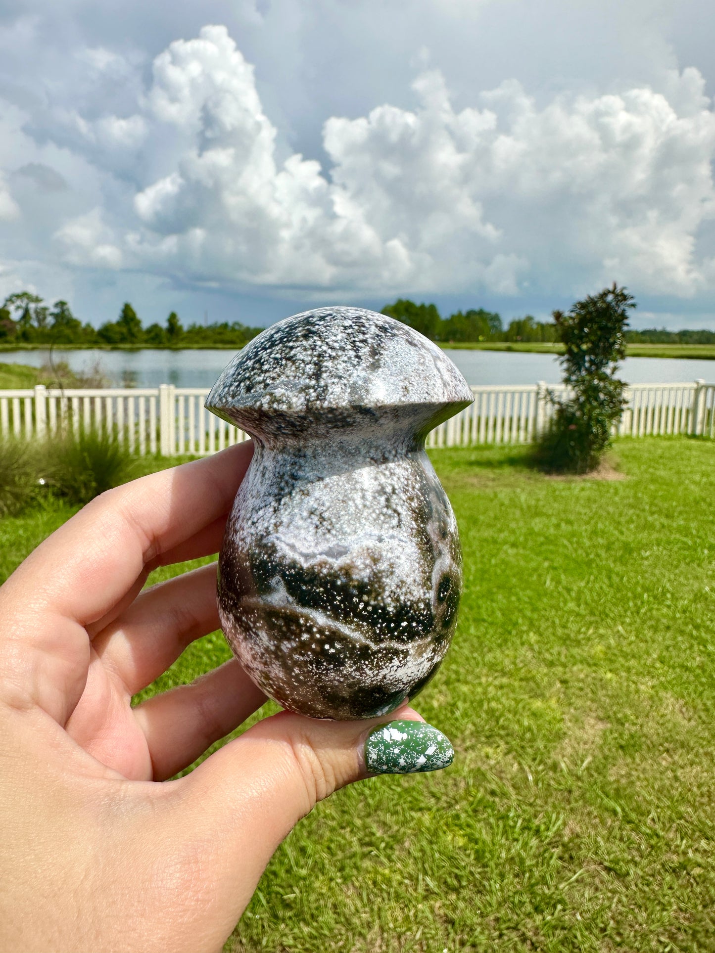 Ocean Jasper - Mushroom
