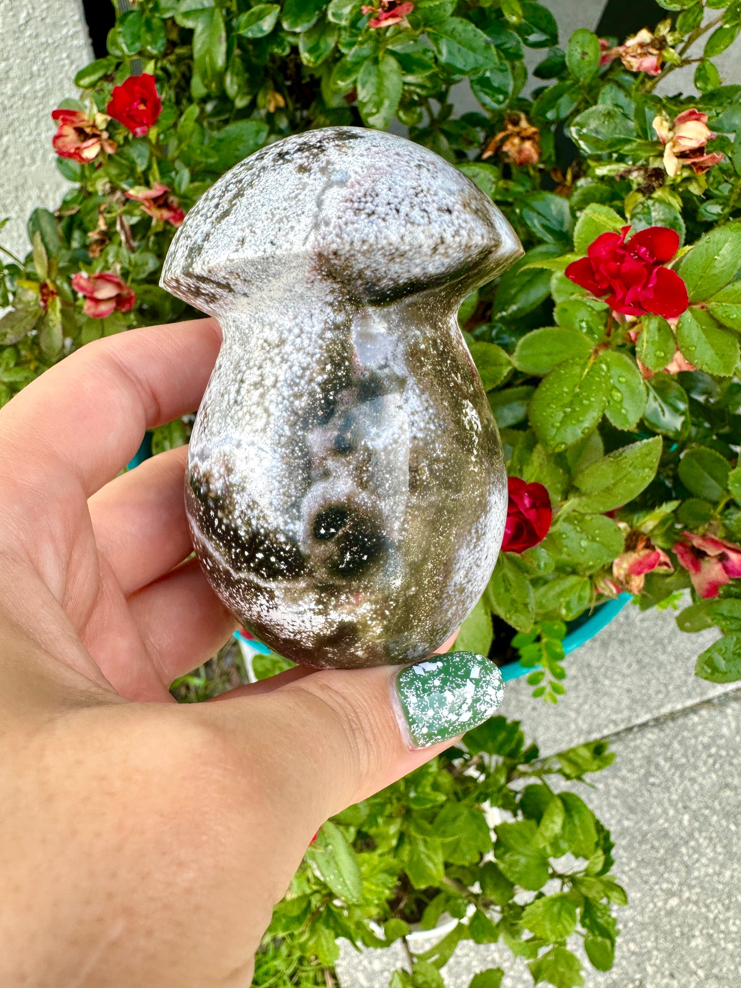 Ocean Jasper - Mushroom
