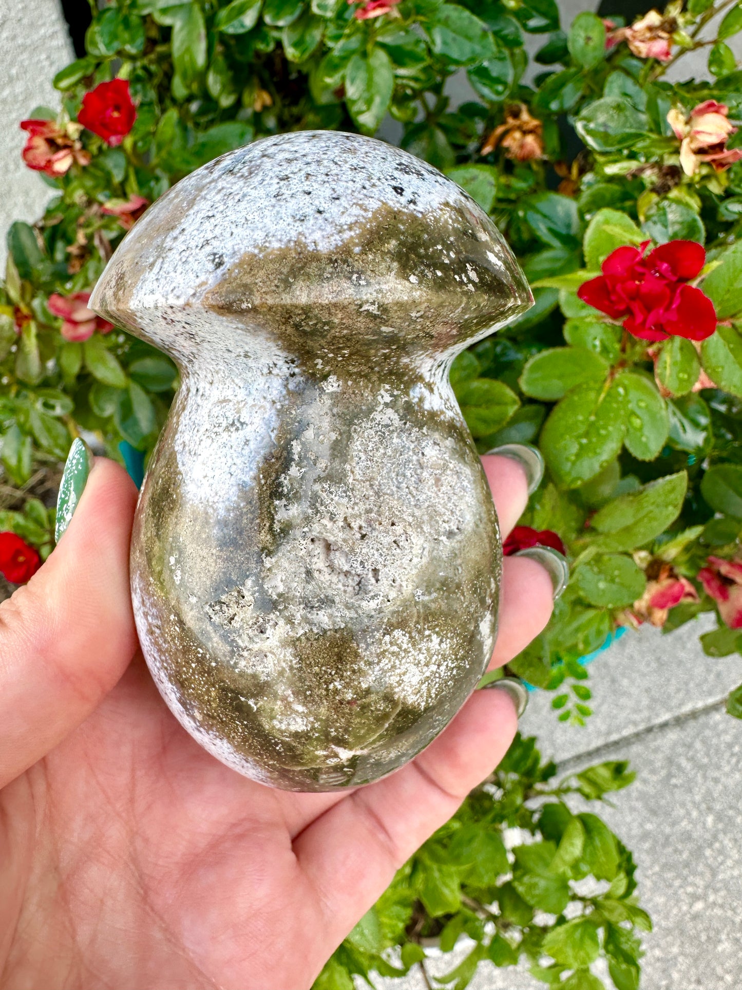 Ocean Jasper - Mushroom