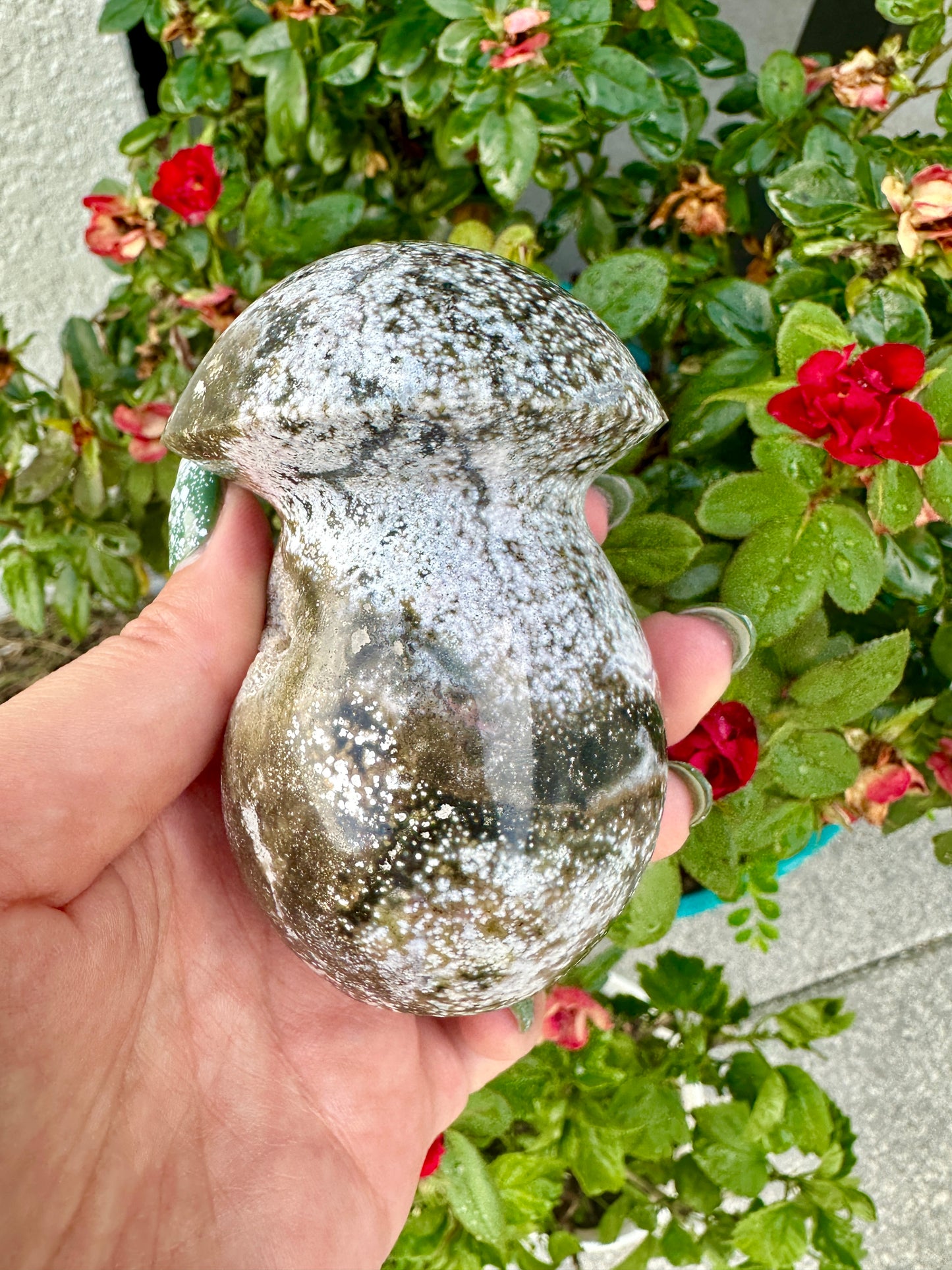 Ocean Jasper - Mushroom