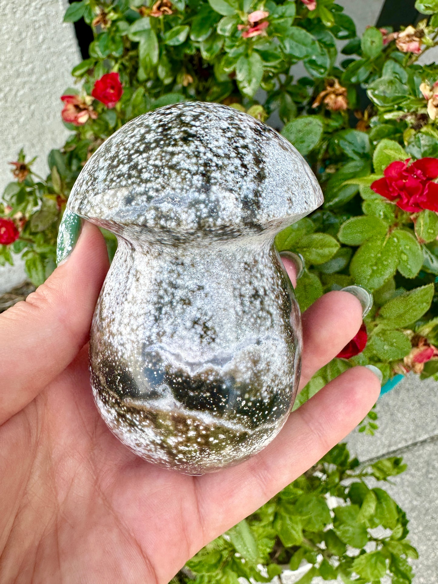 Ocean Jasper - Mushroom