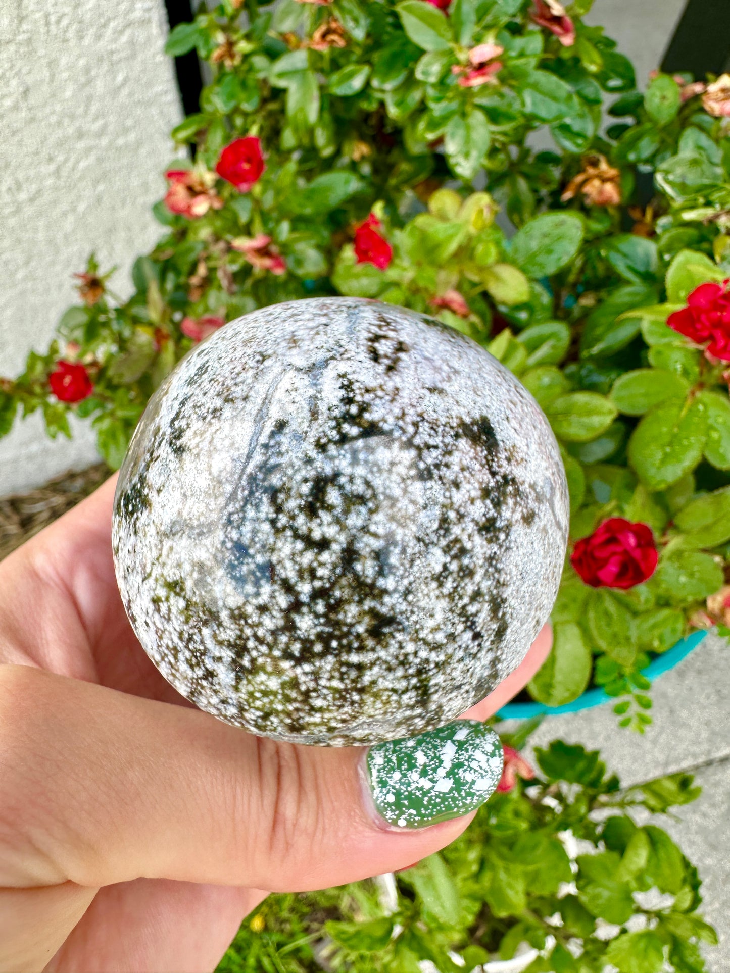 Ocean Jasper - Mushroom