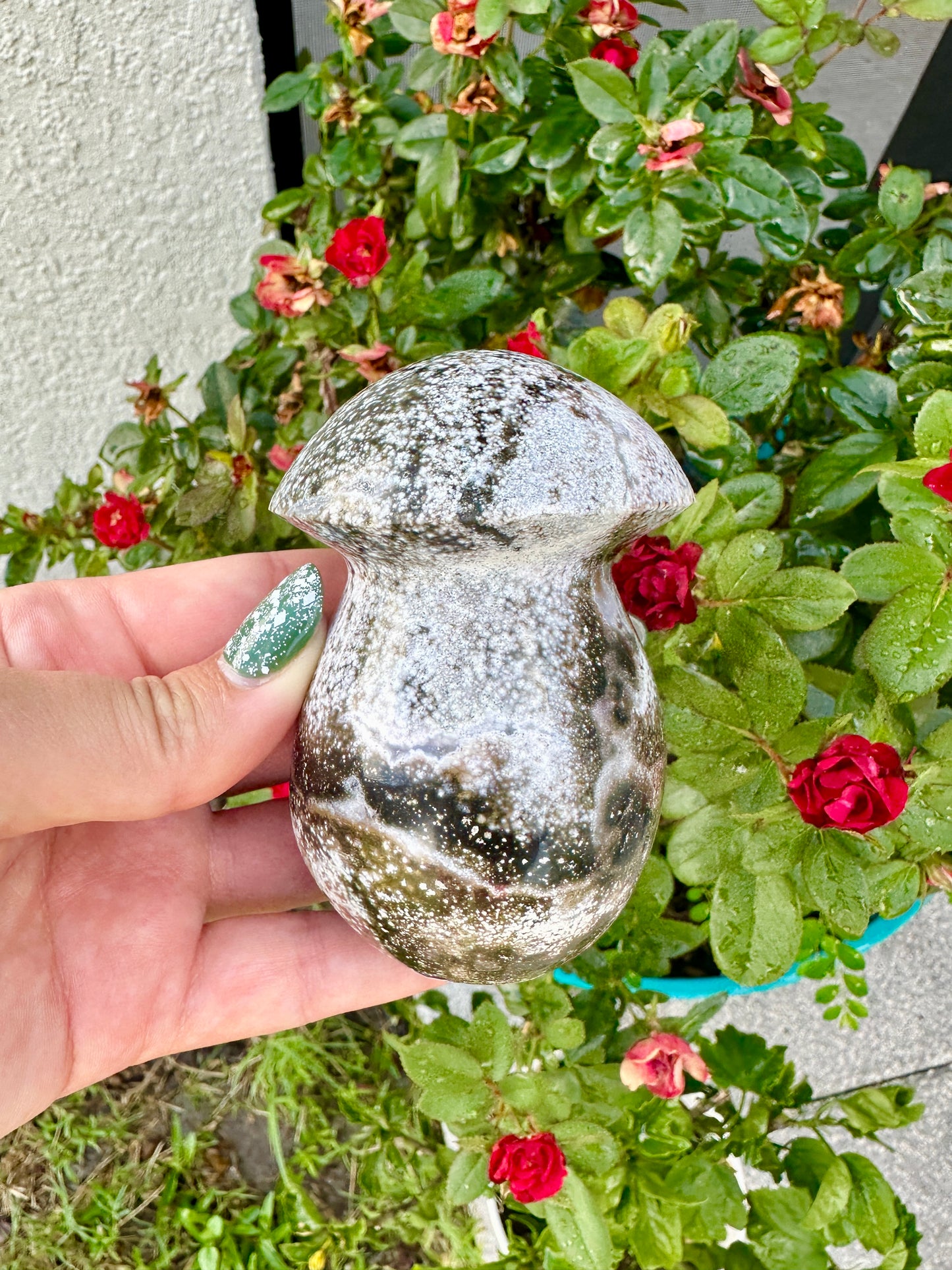 Ocean Jasper - Mushroom