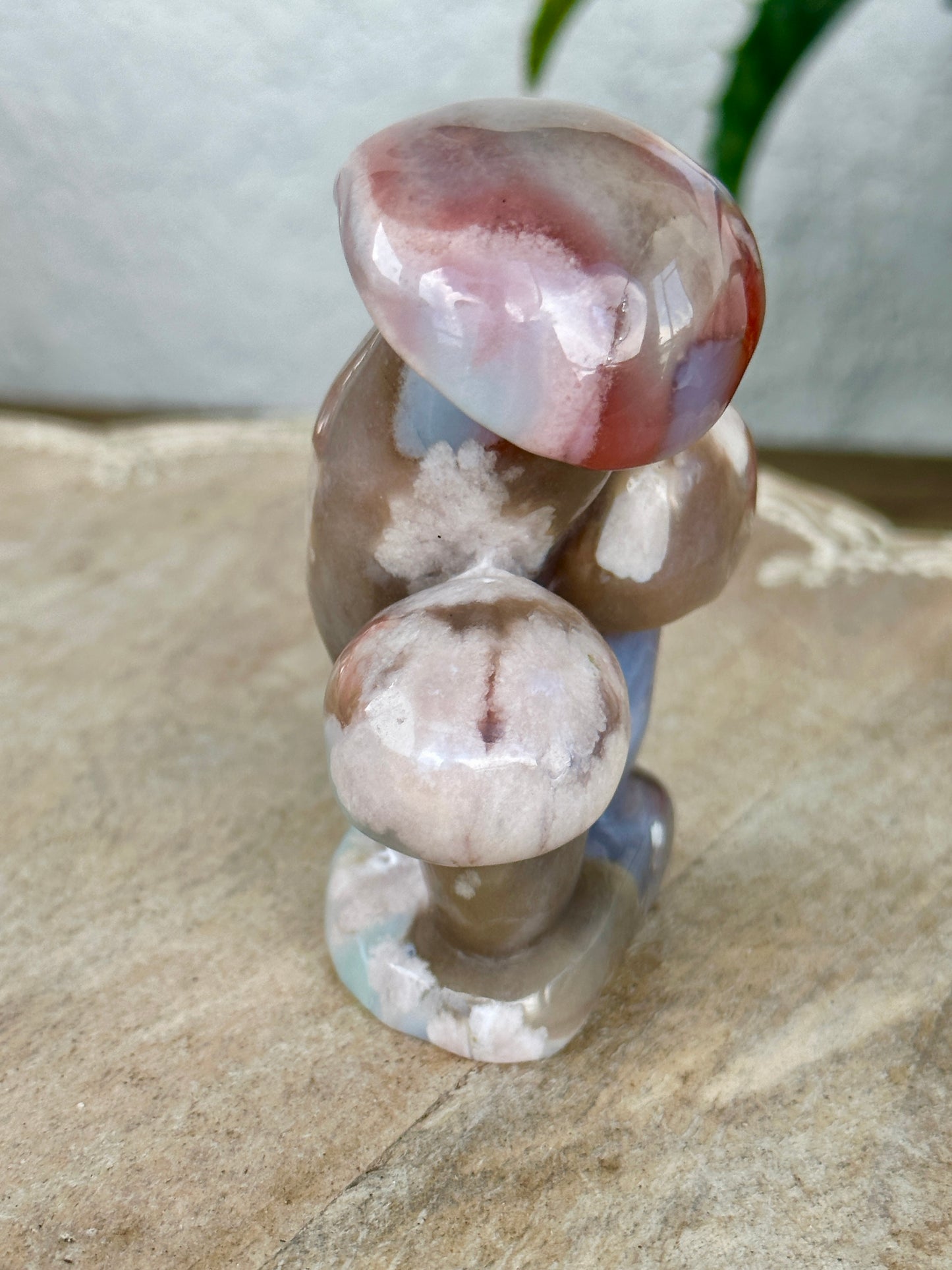 Flower Agate - Mushrooms