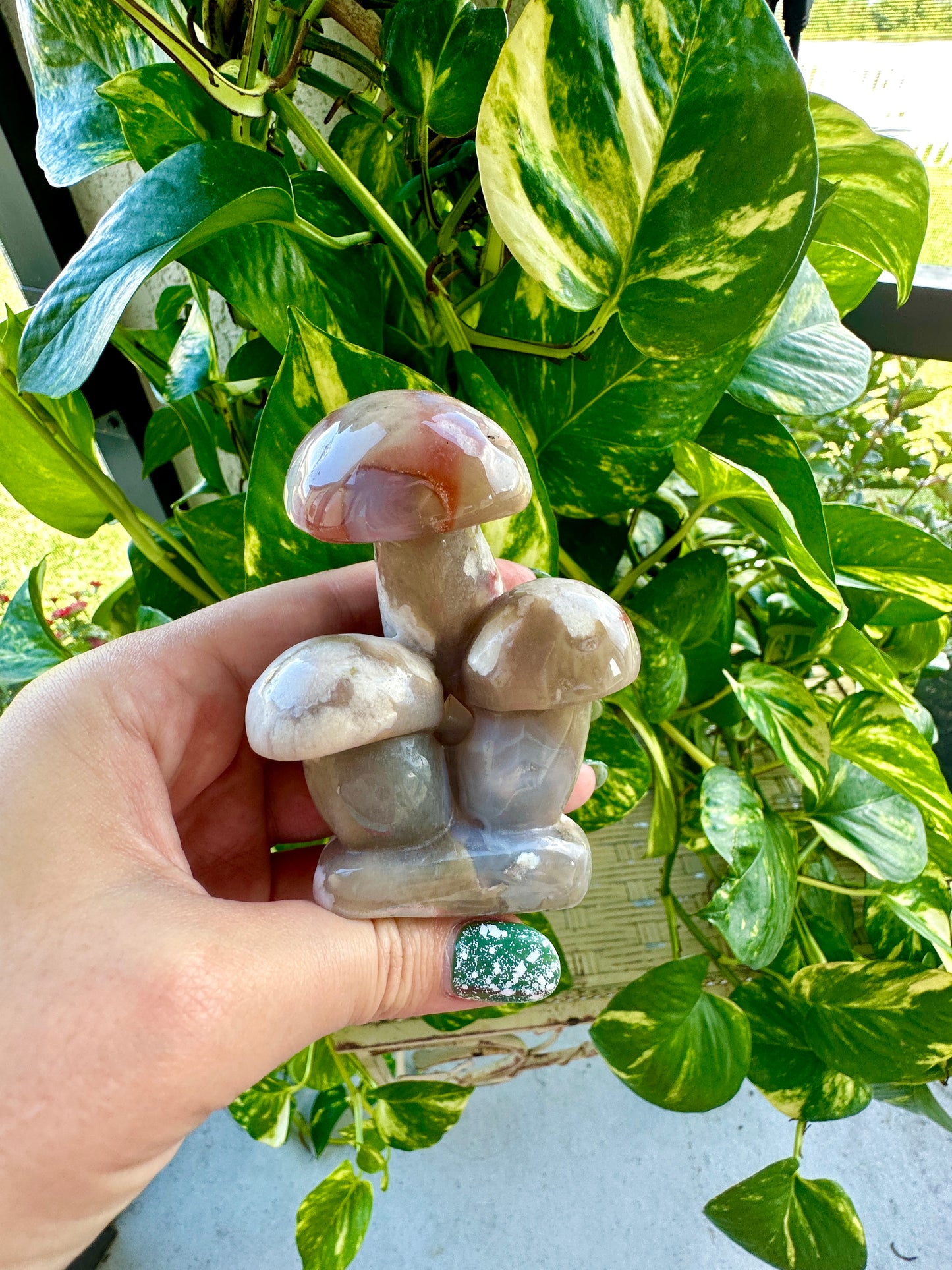 Flower Agate - Mushrooms