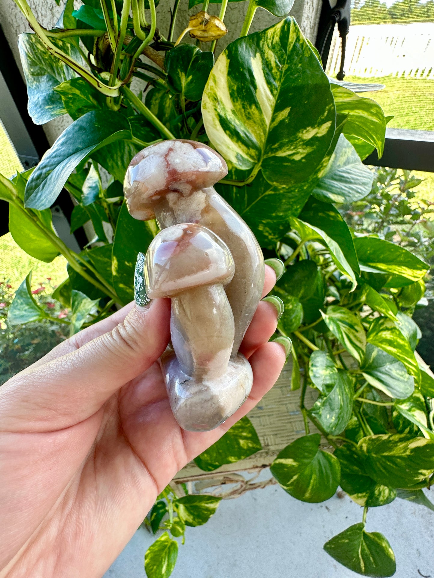 Flower Agate - Mushrooms