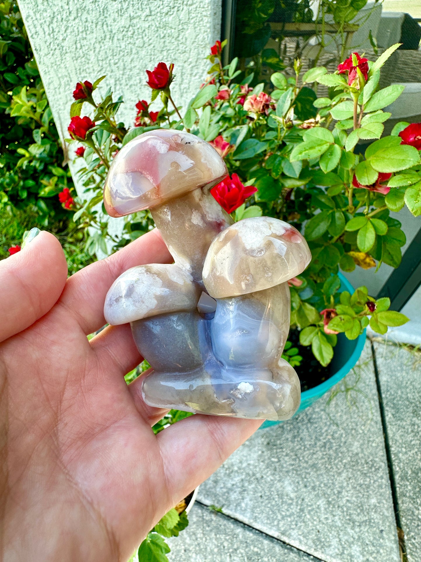Flower Agate - Mushrooms