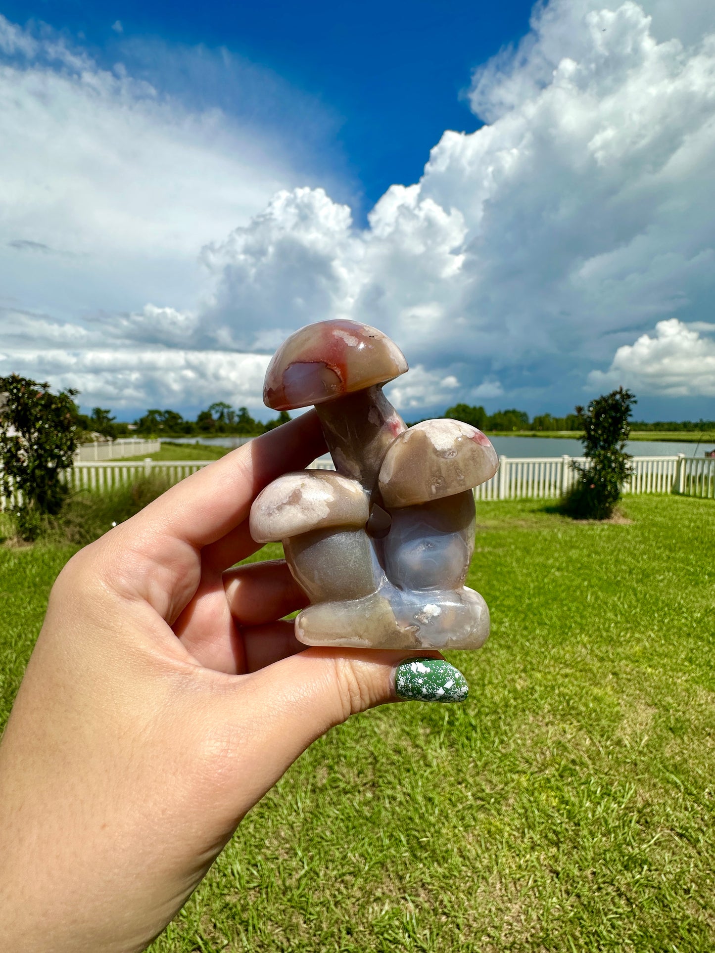 Flower Agate - Mushrooms