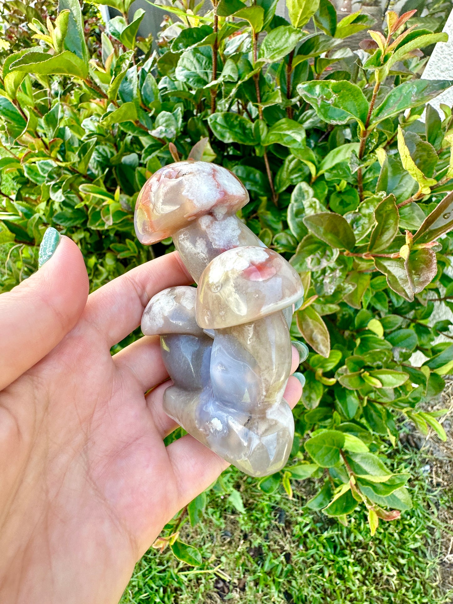 Flower Agate - Mushrooms