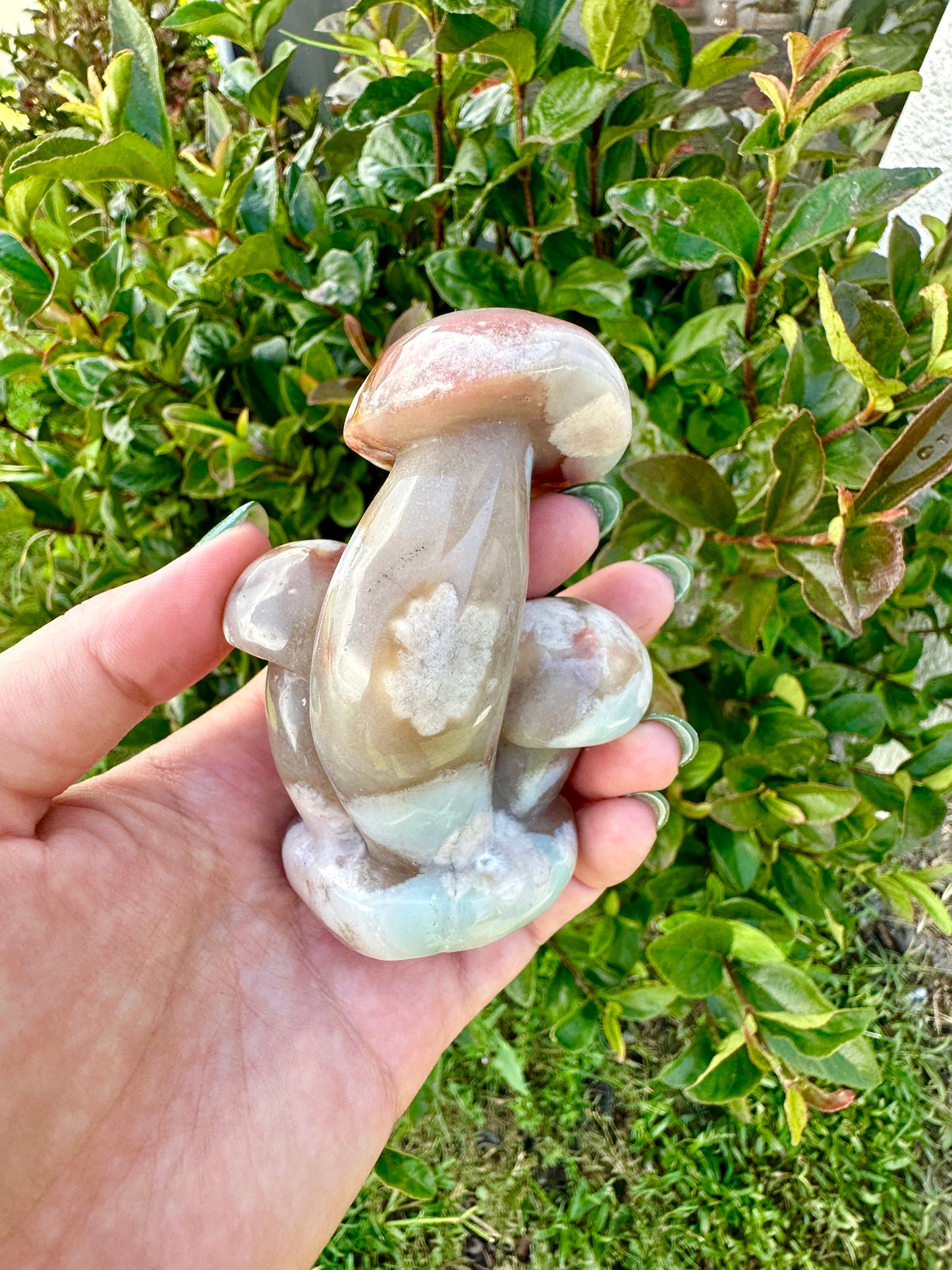 Flower Agate - Mushrooms