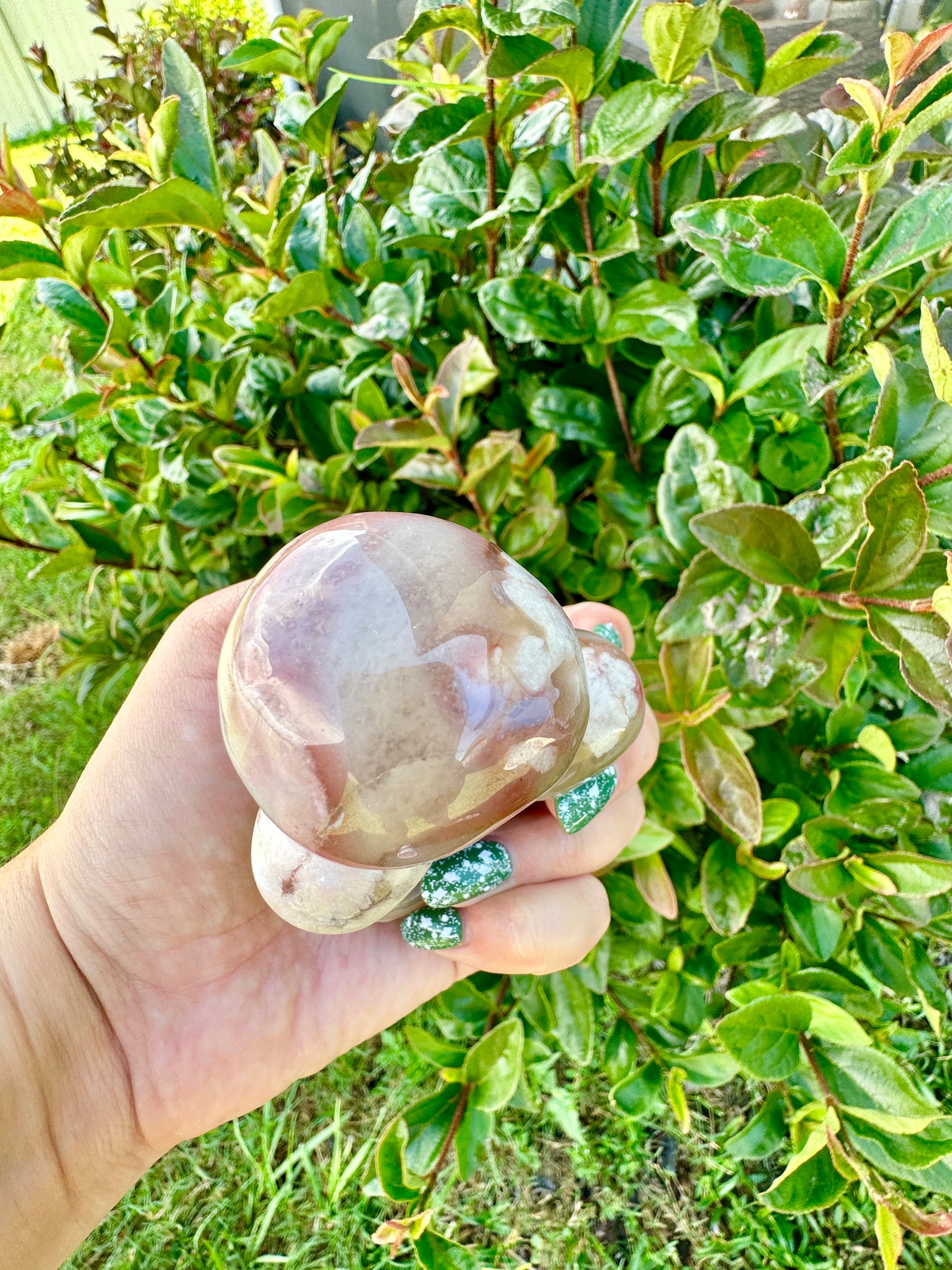 Flower Agate - Mushrooms