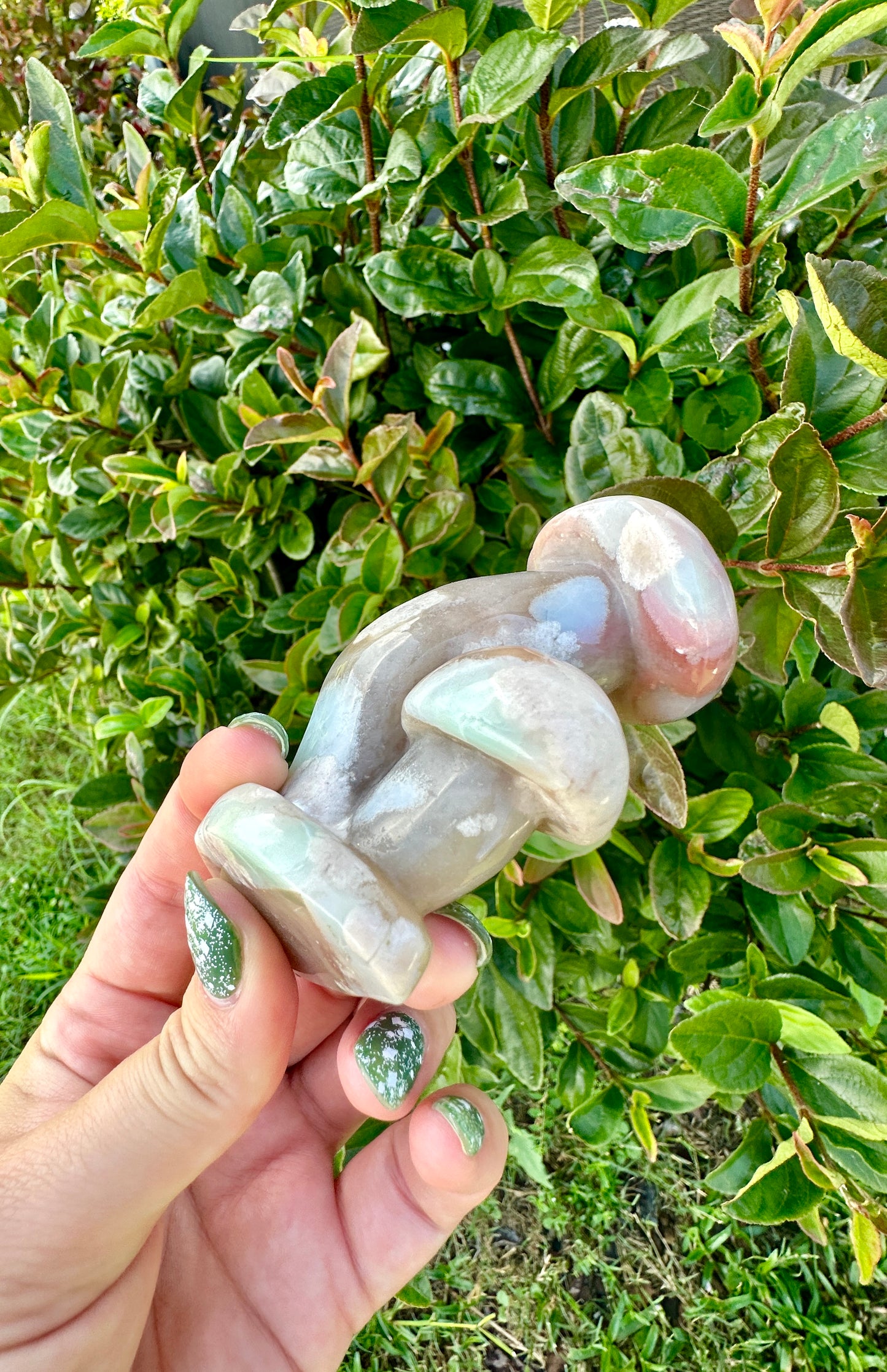 Flower Agate - Mushrooms