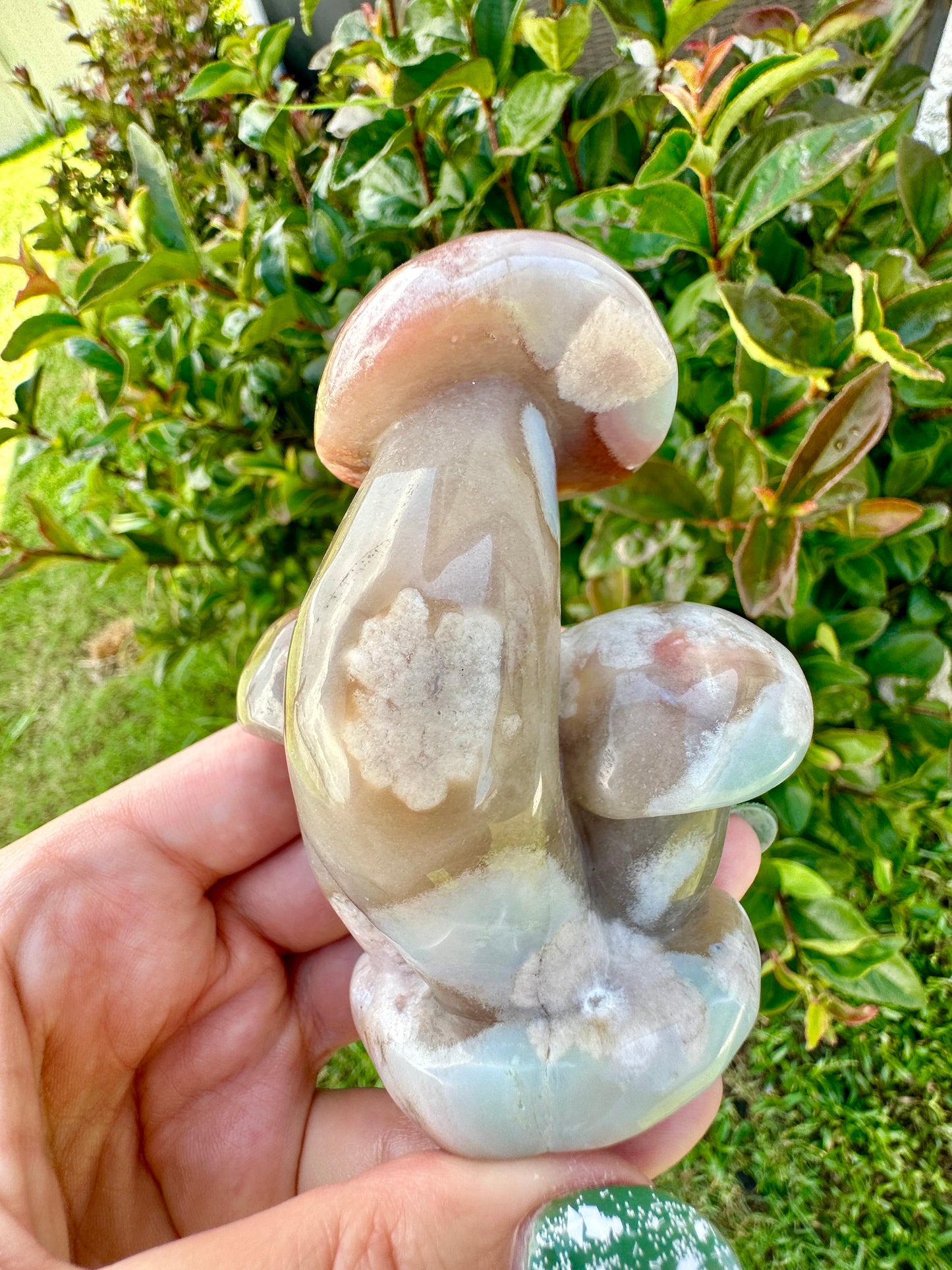 Flower Agate - Mushrooms