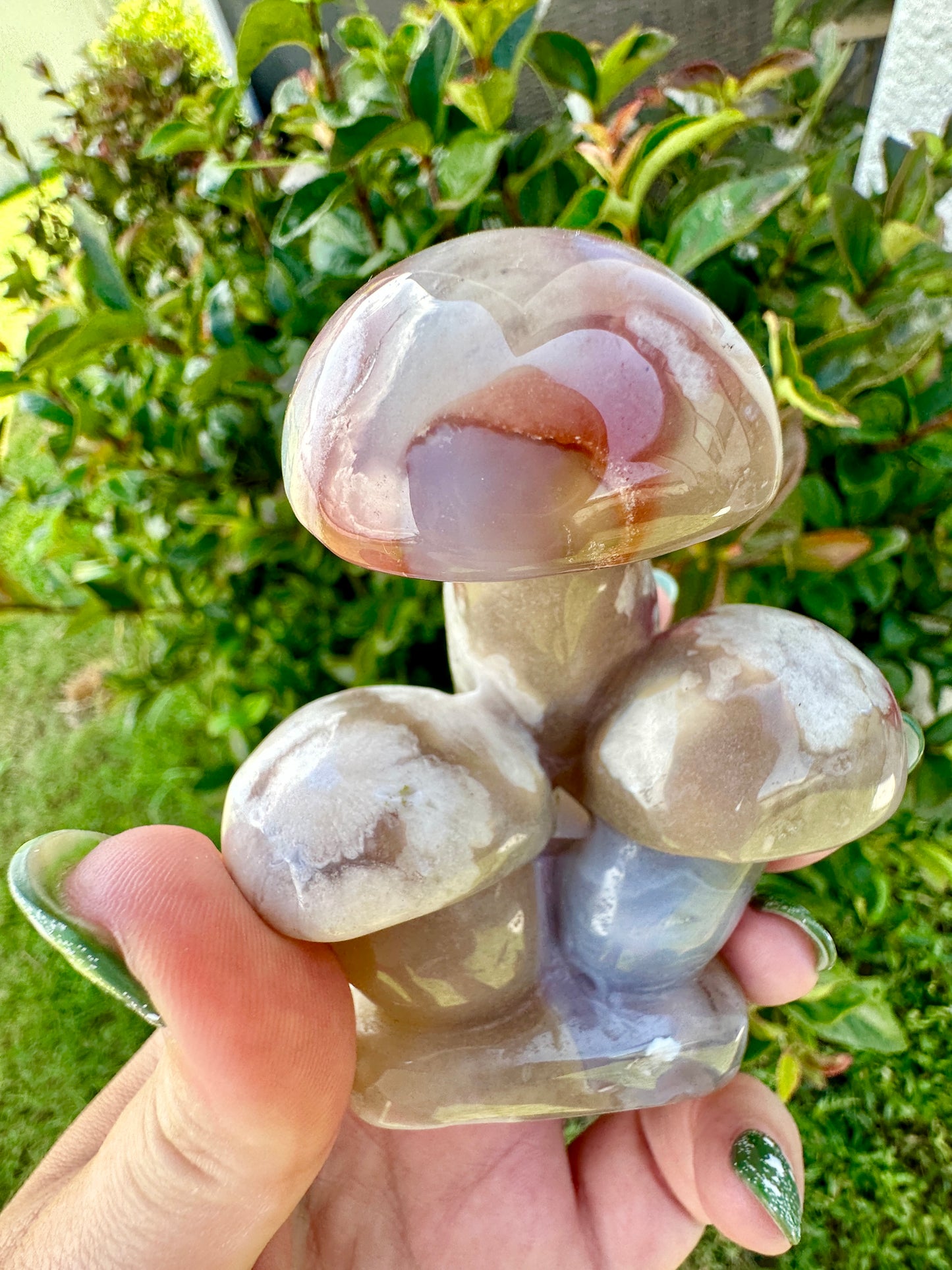 Flower Agate - Mushrooms