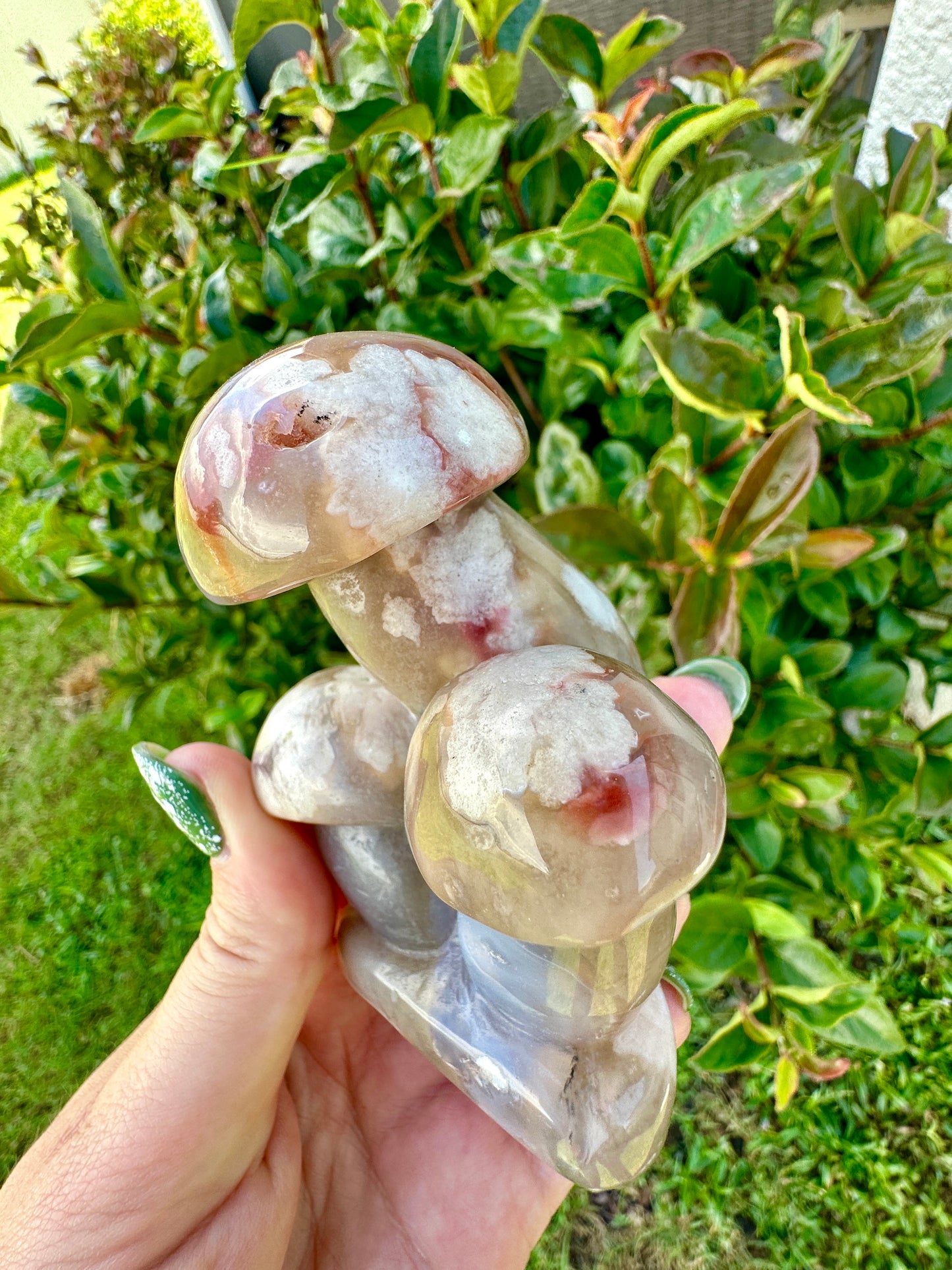 Flower Agate - Mushrooms